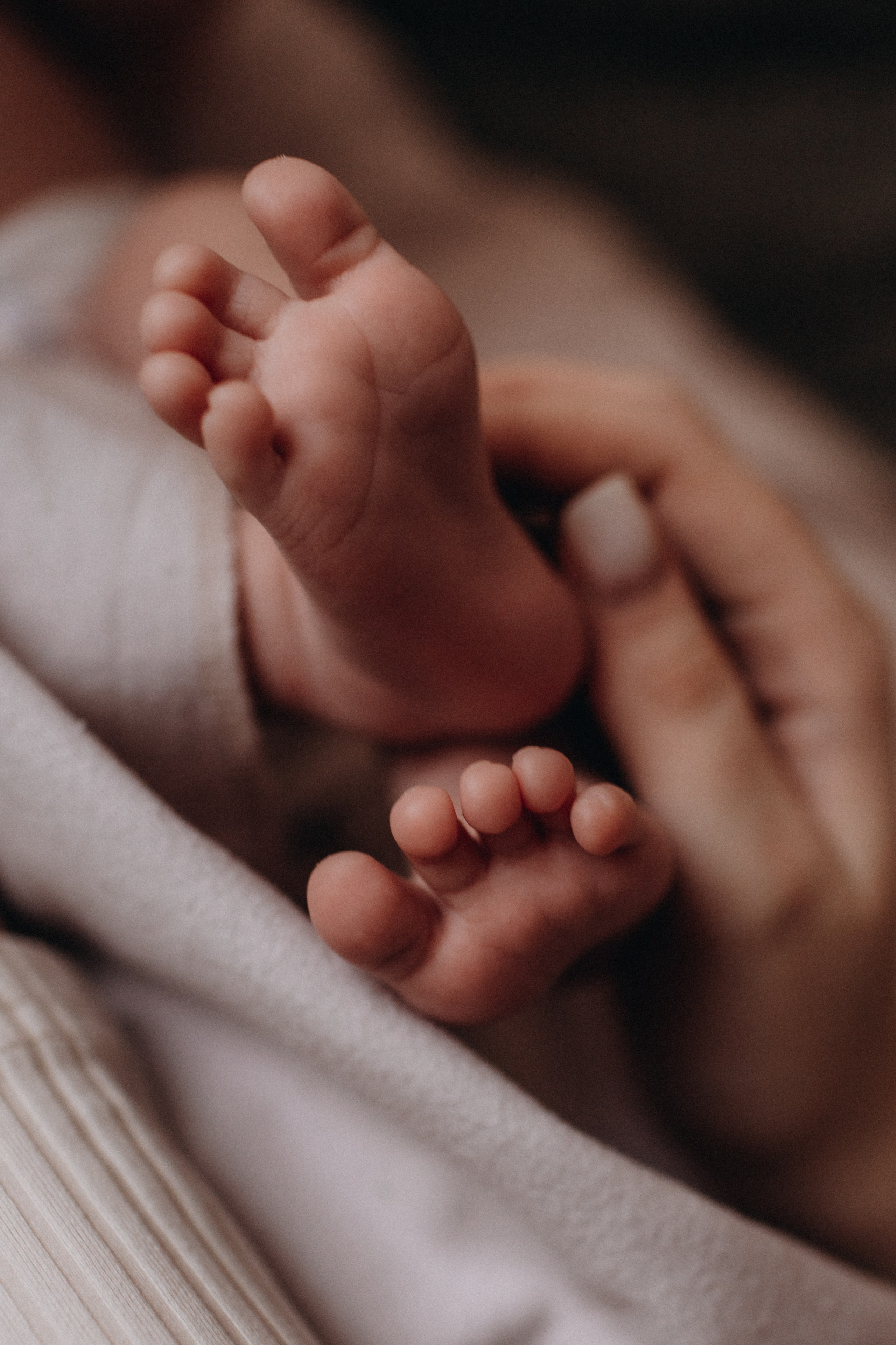 Семья Михайлиных. Семейный фотограф в Челябинске Ксения Зубкова