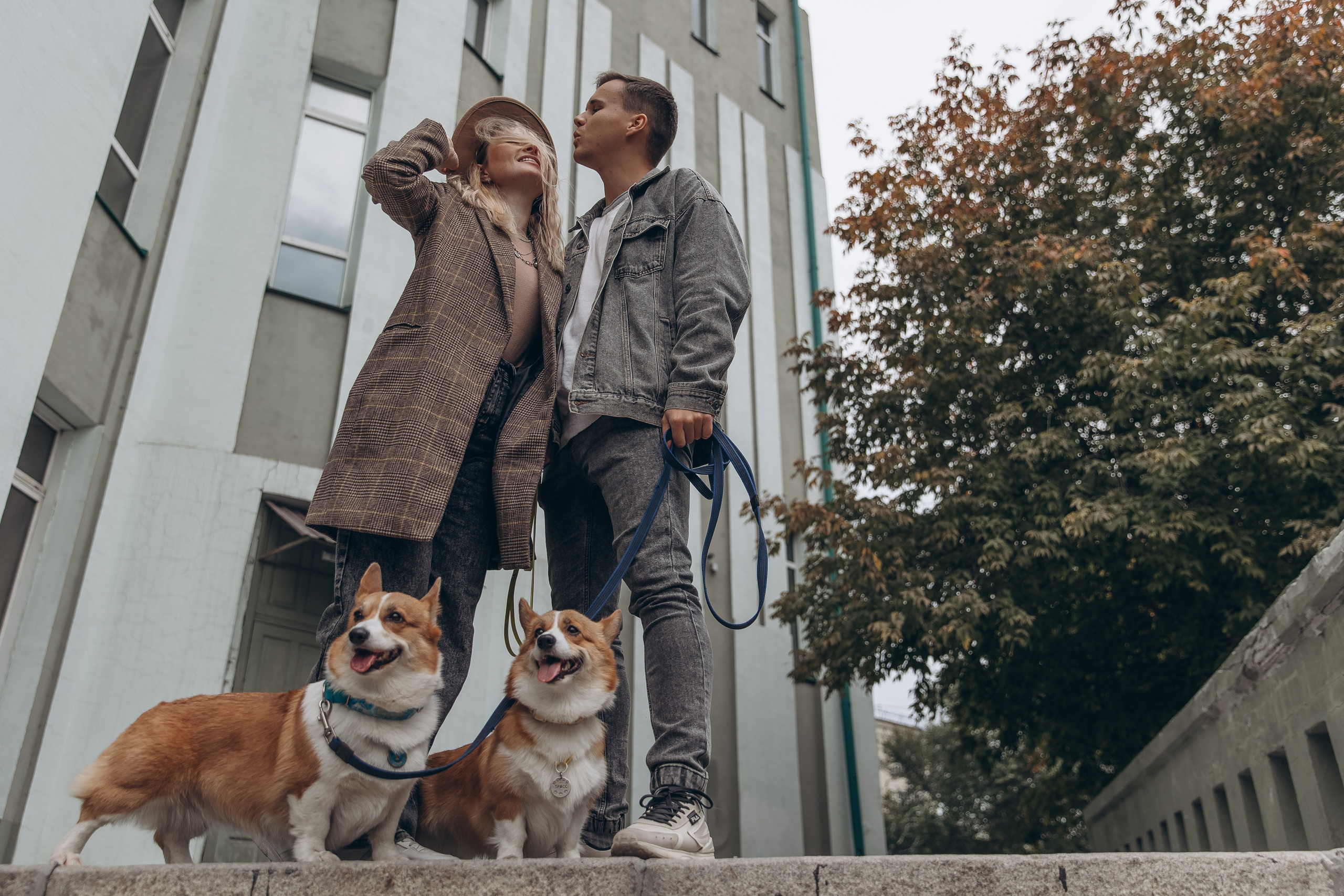 «Королевский Корги» 2. Фотограф Алина Ионычева в Новосибирске