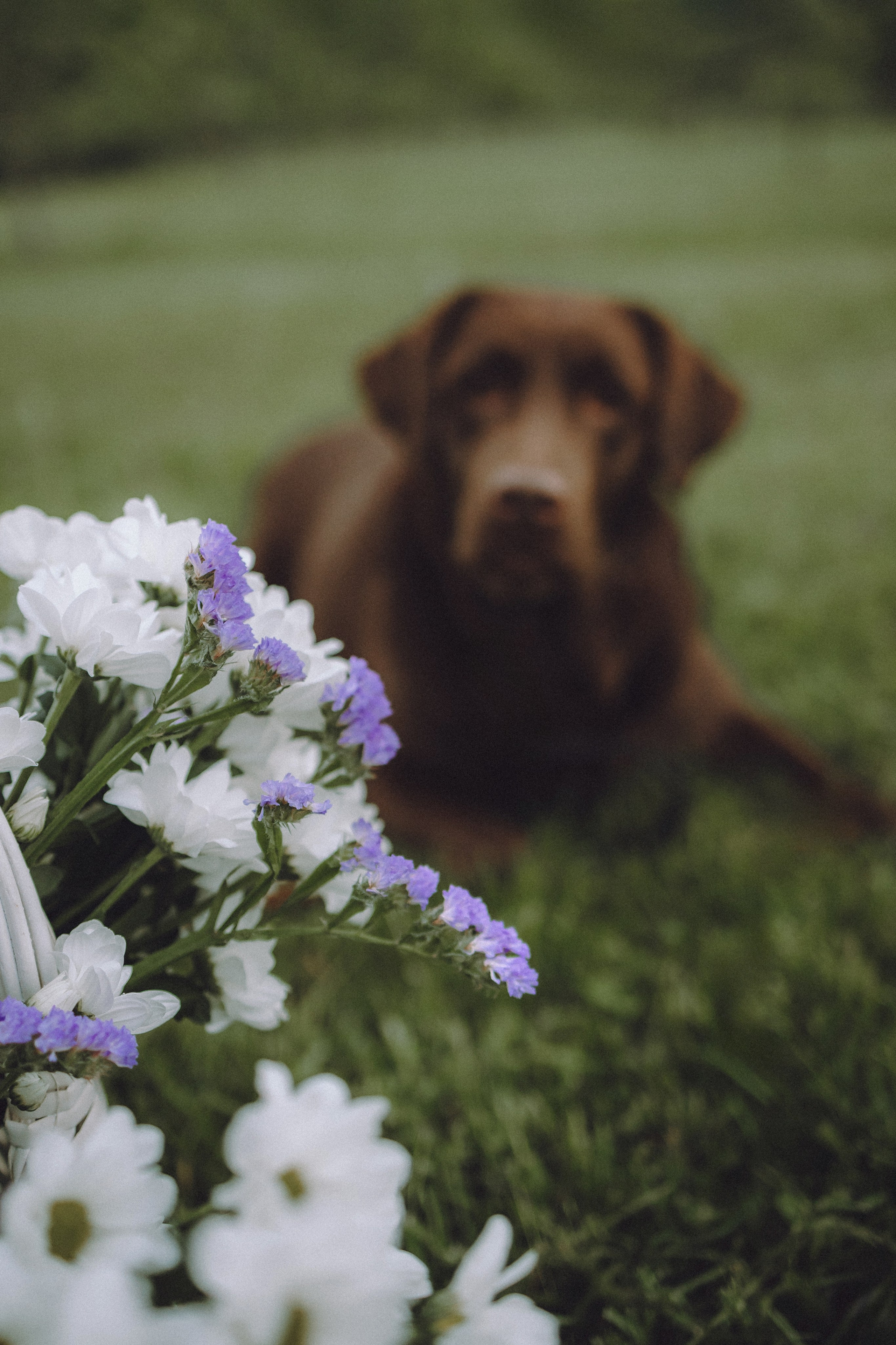 Катя, Ваня и Джеси