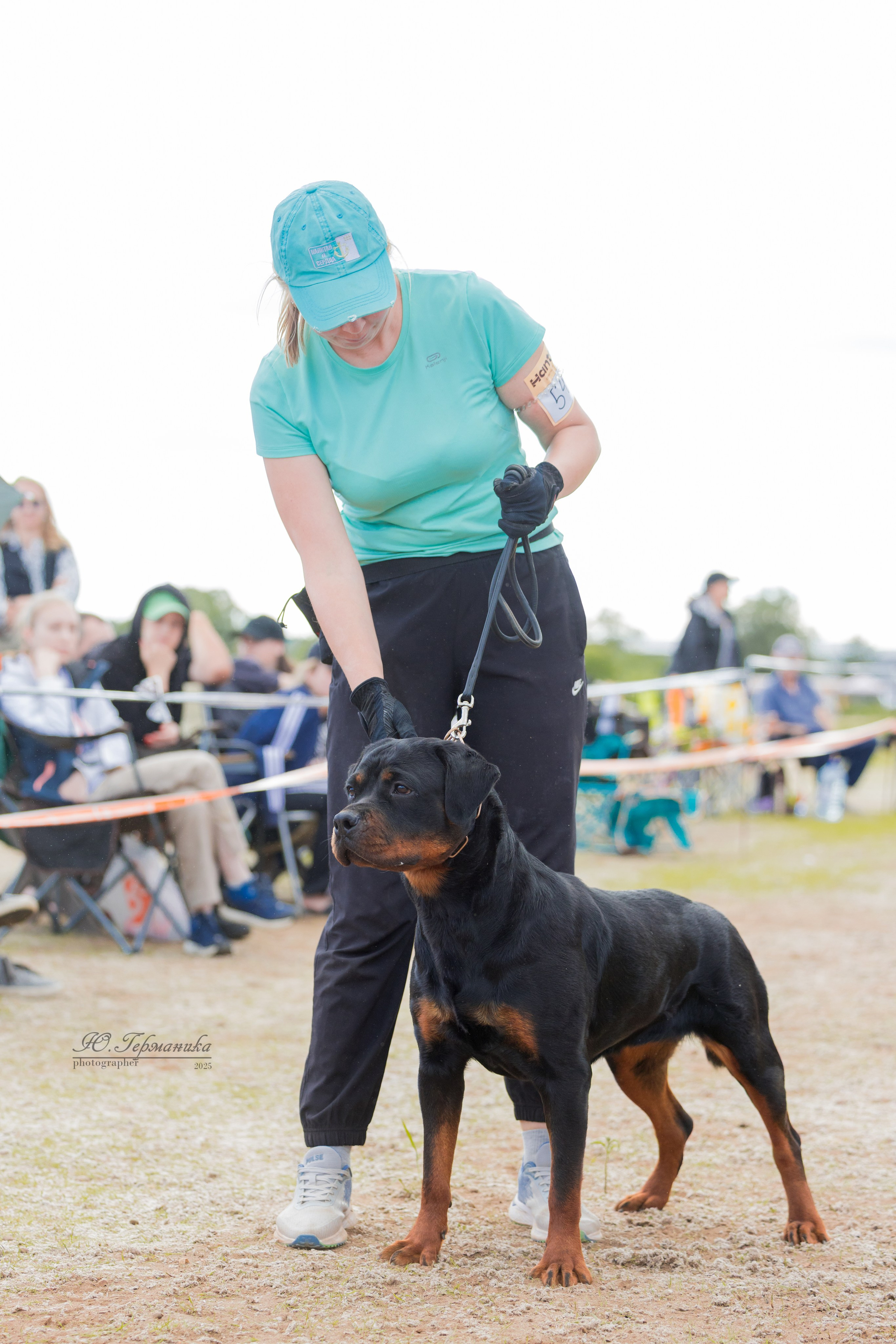 Тверь ротвейлеры 5-6.07.2025. Фотограф-анималист Юлия Германика