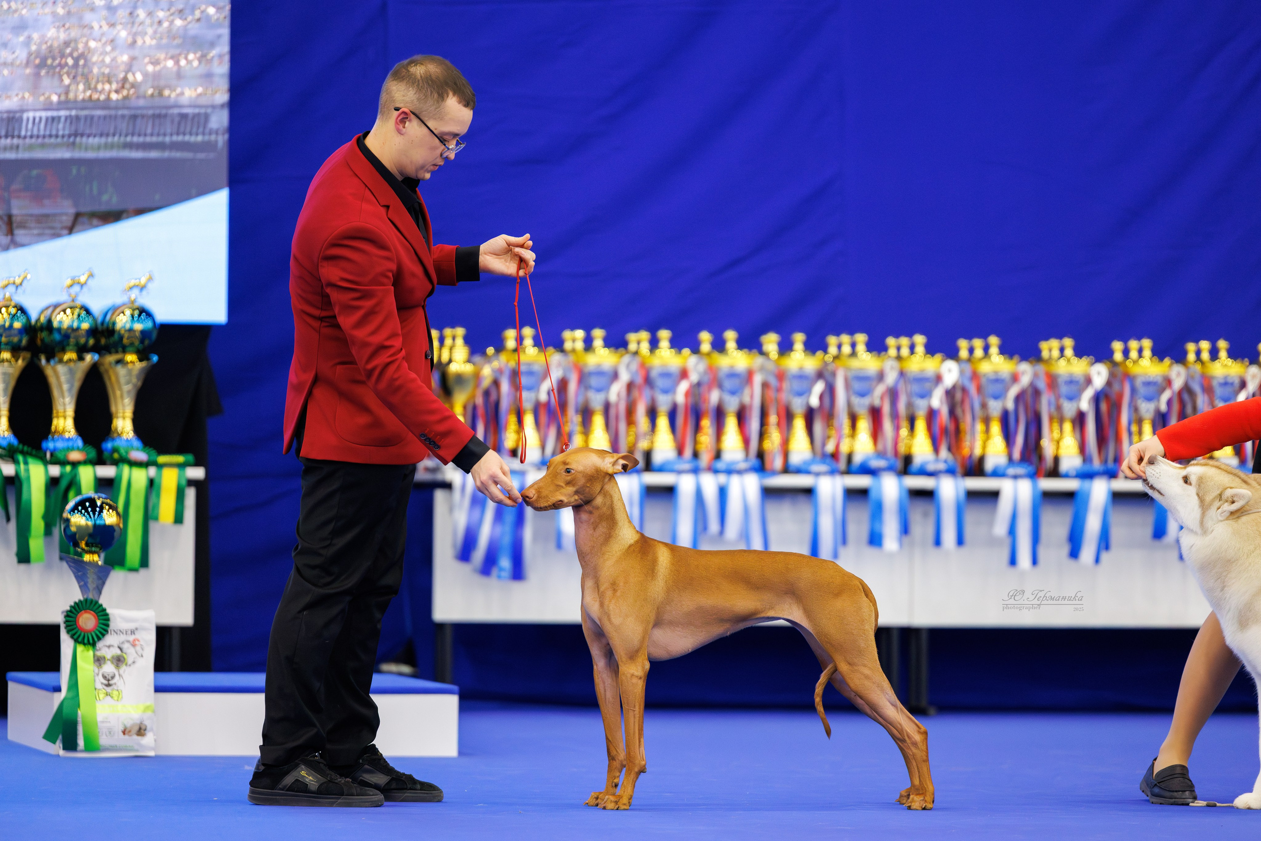 Питер 12-13.12.2025. Фотограф-анималист Юлия Германика