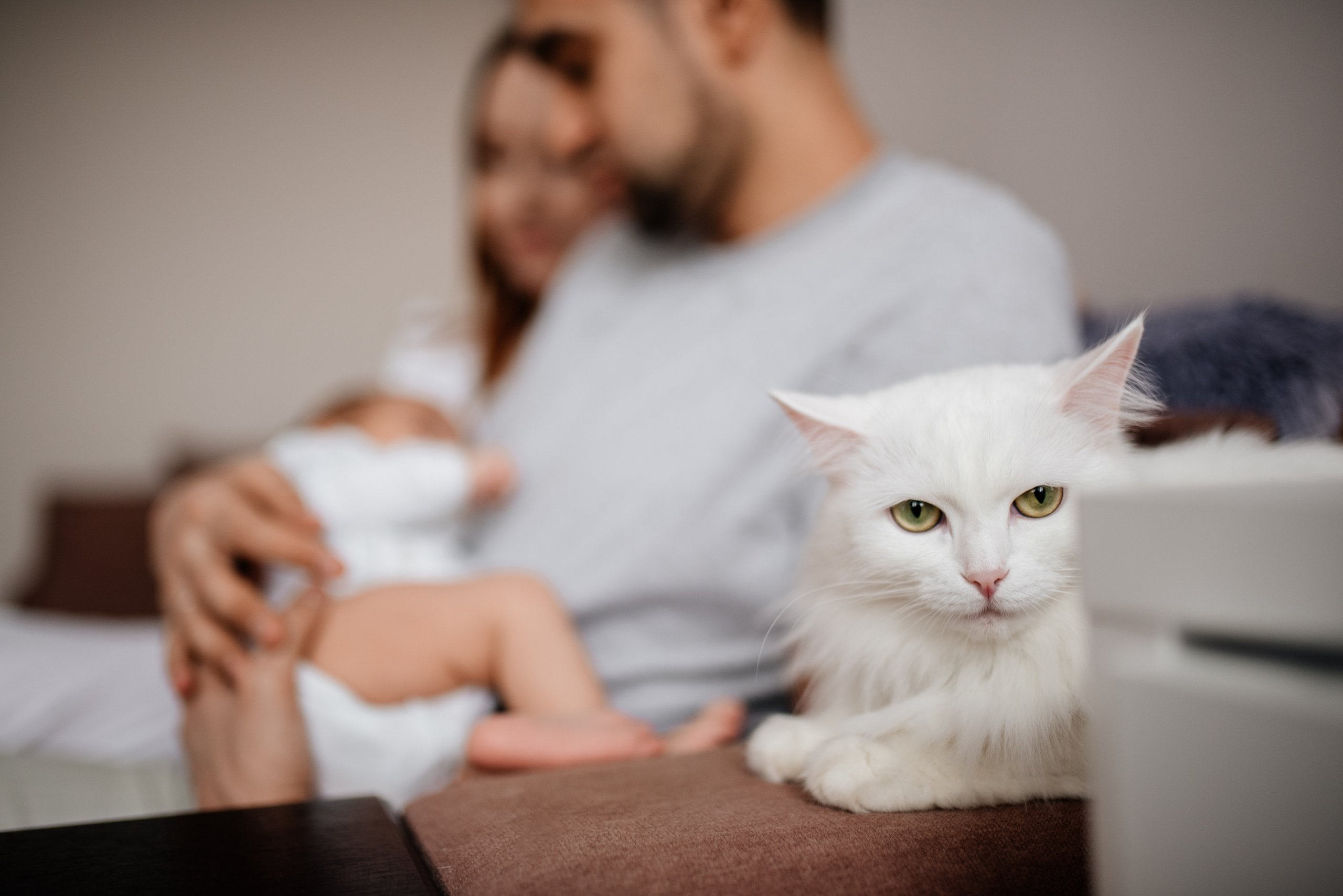 Катя, Дима и Эмилия. Семьи