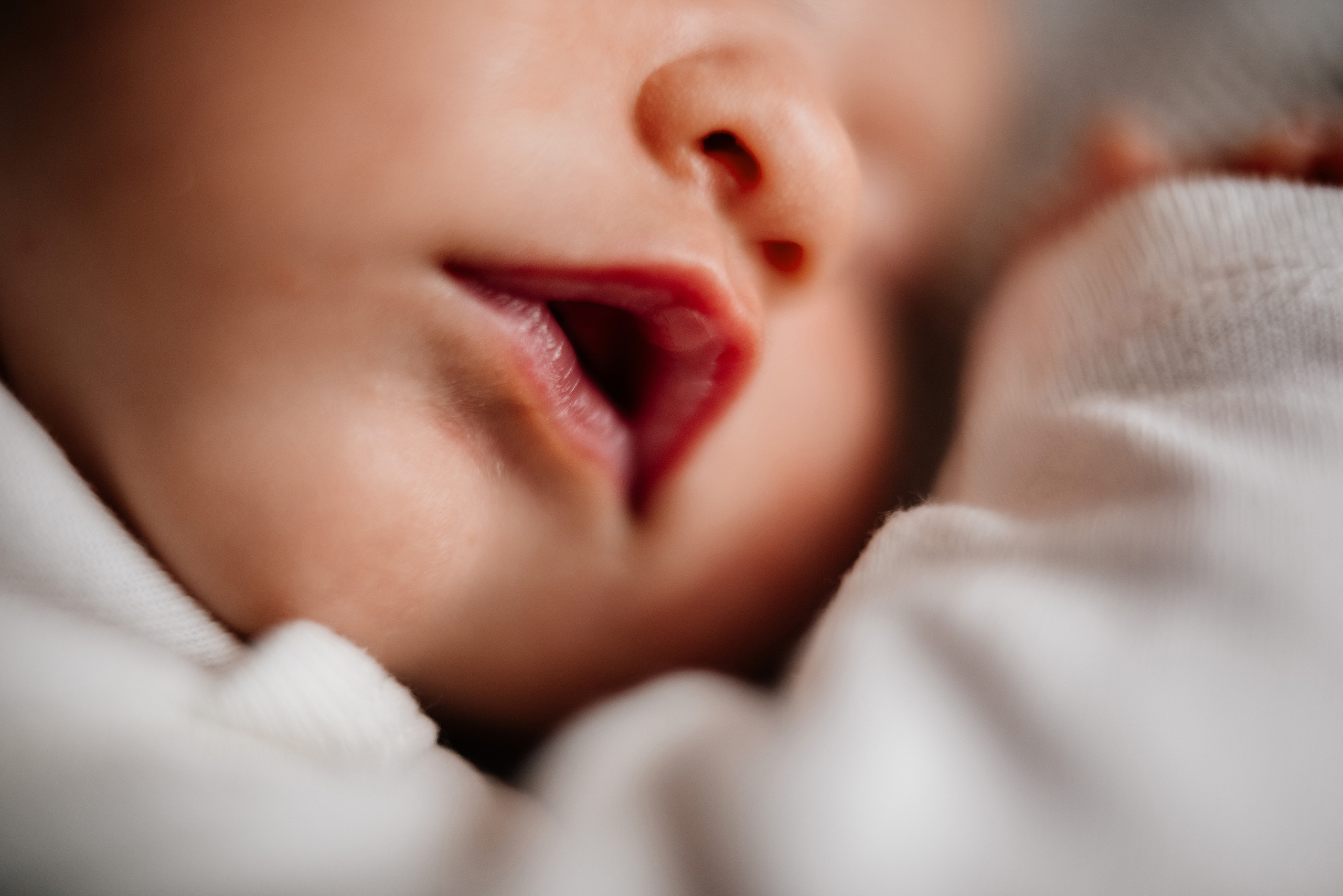 Мире 10 дней. Семьи