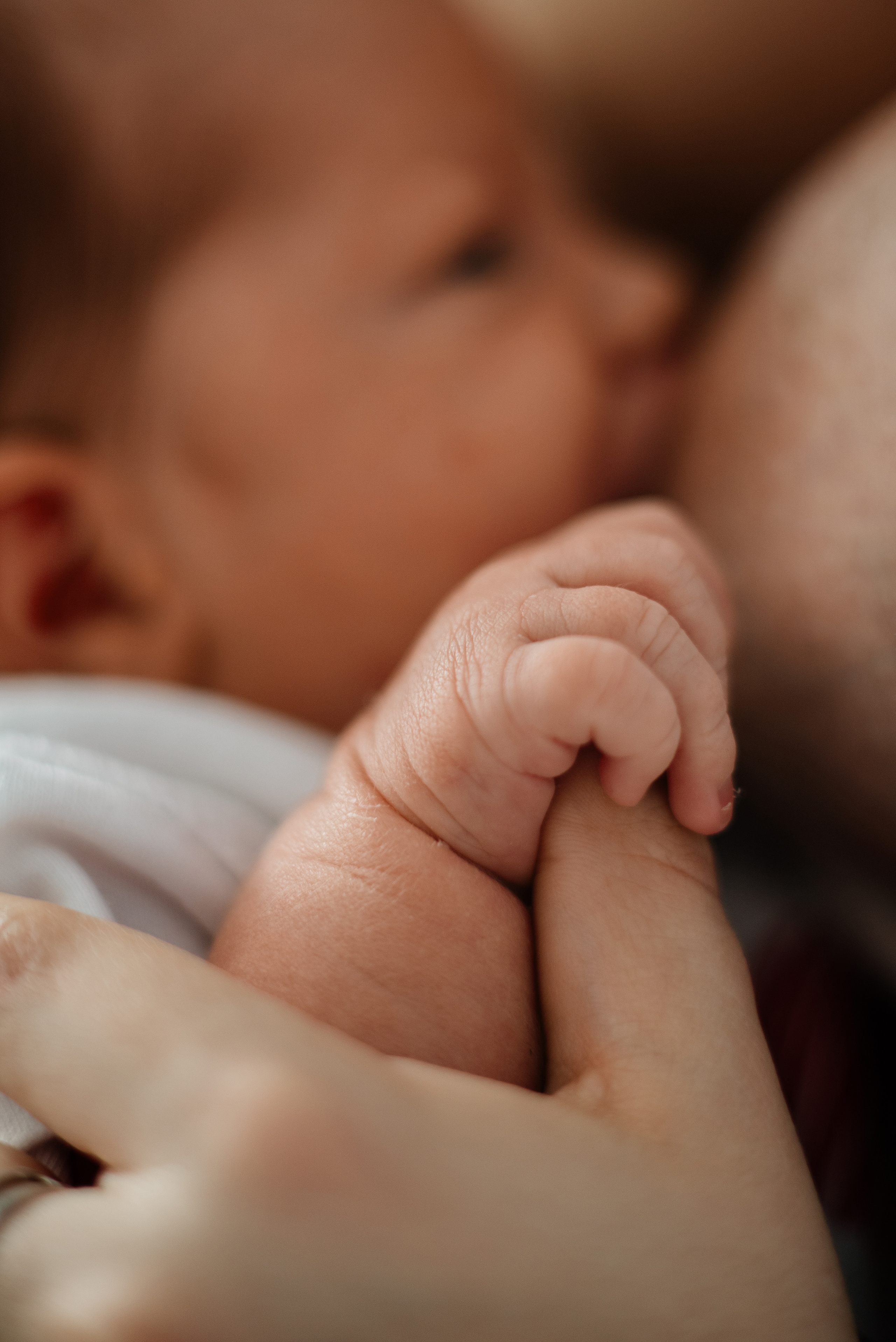 Лена Антон Алисочка. Семьи