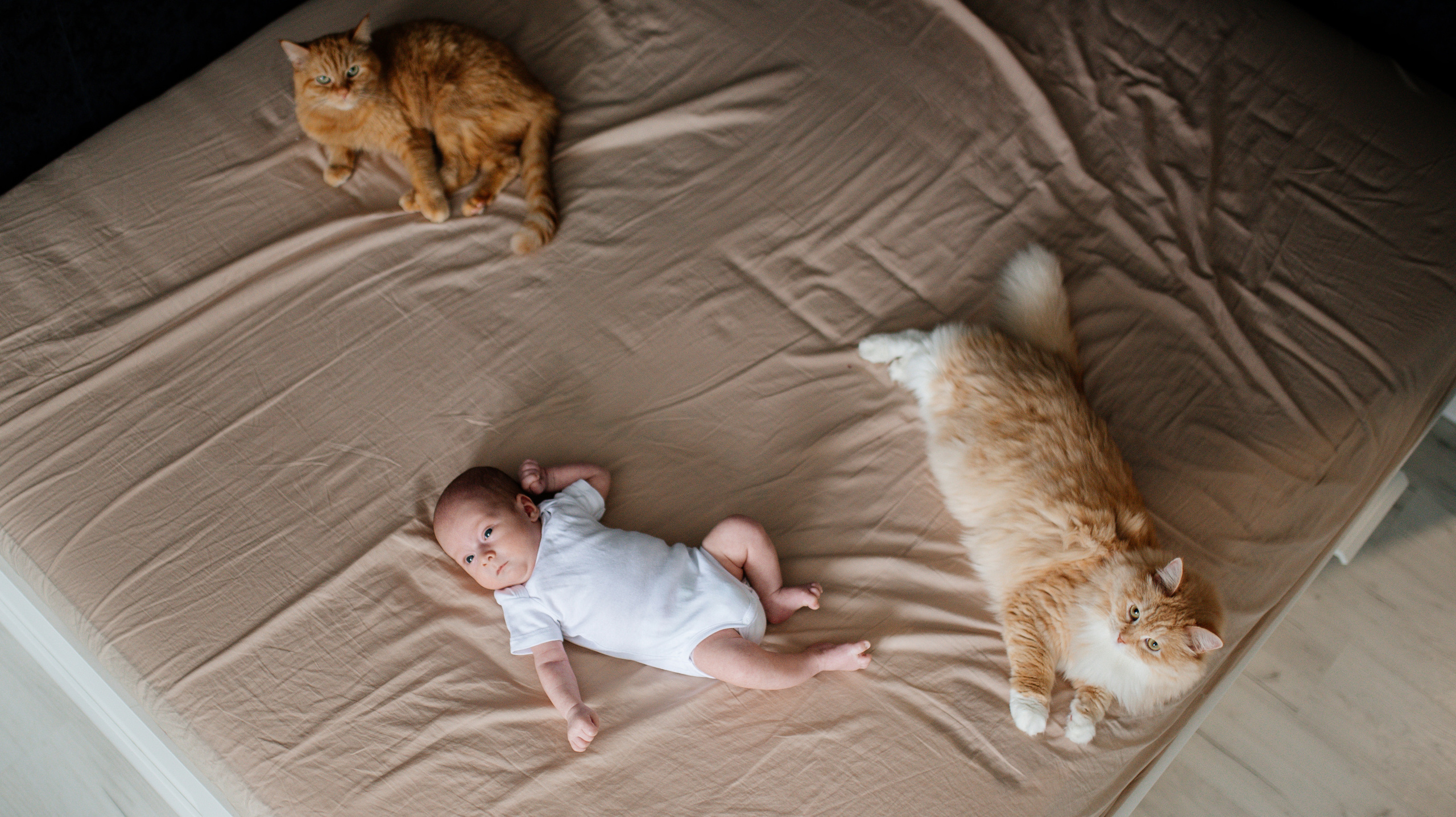 Слава Катя Ярослав. Семьи