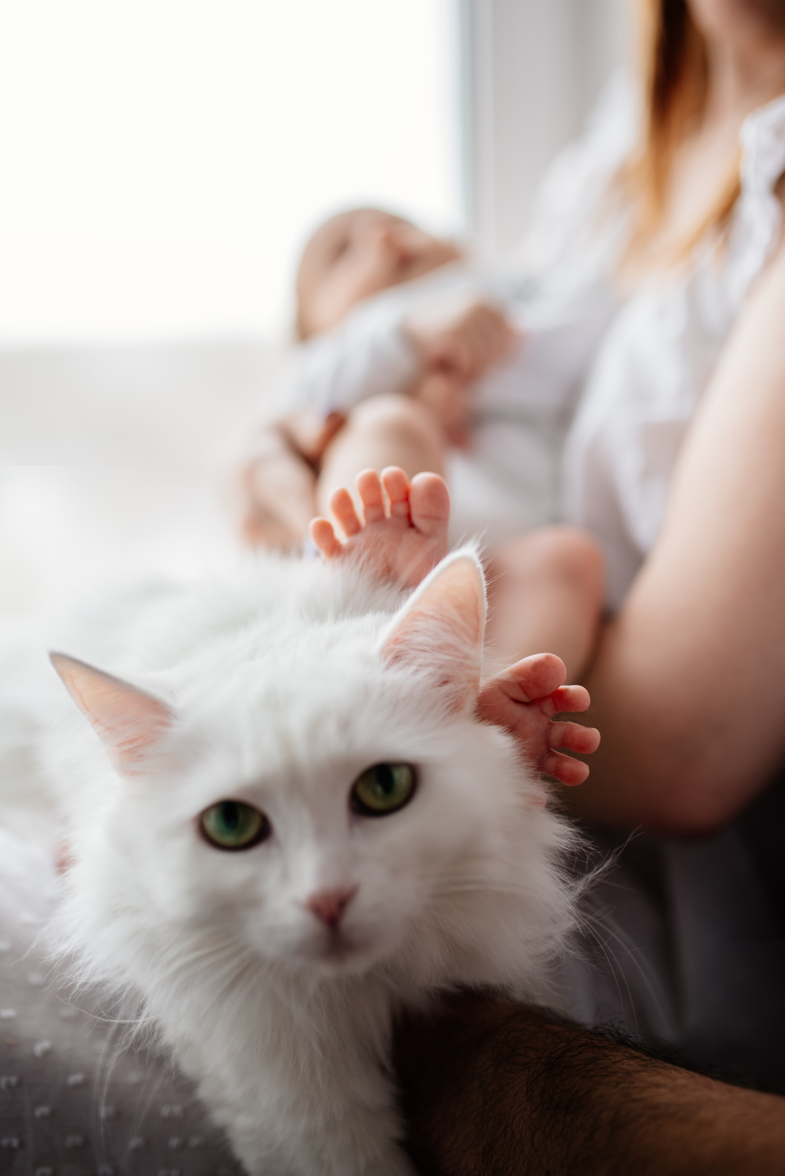 Катя, Дима и Эмилия. Семьи