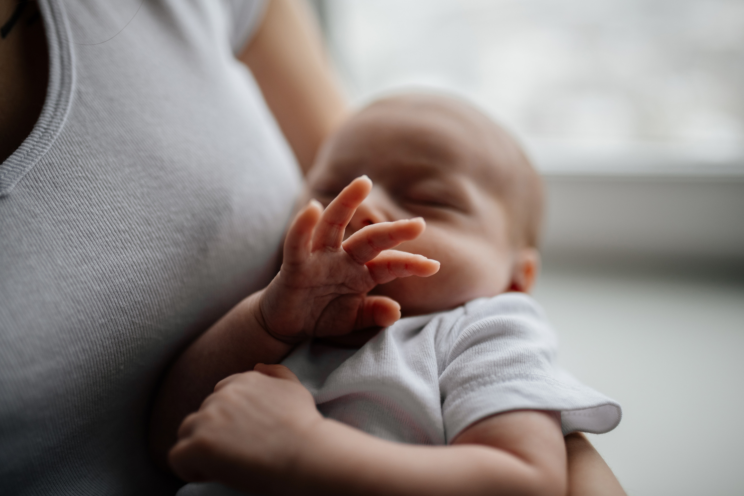 Слава Катя Ярослав. Семьи