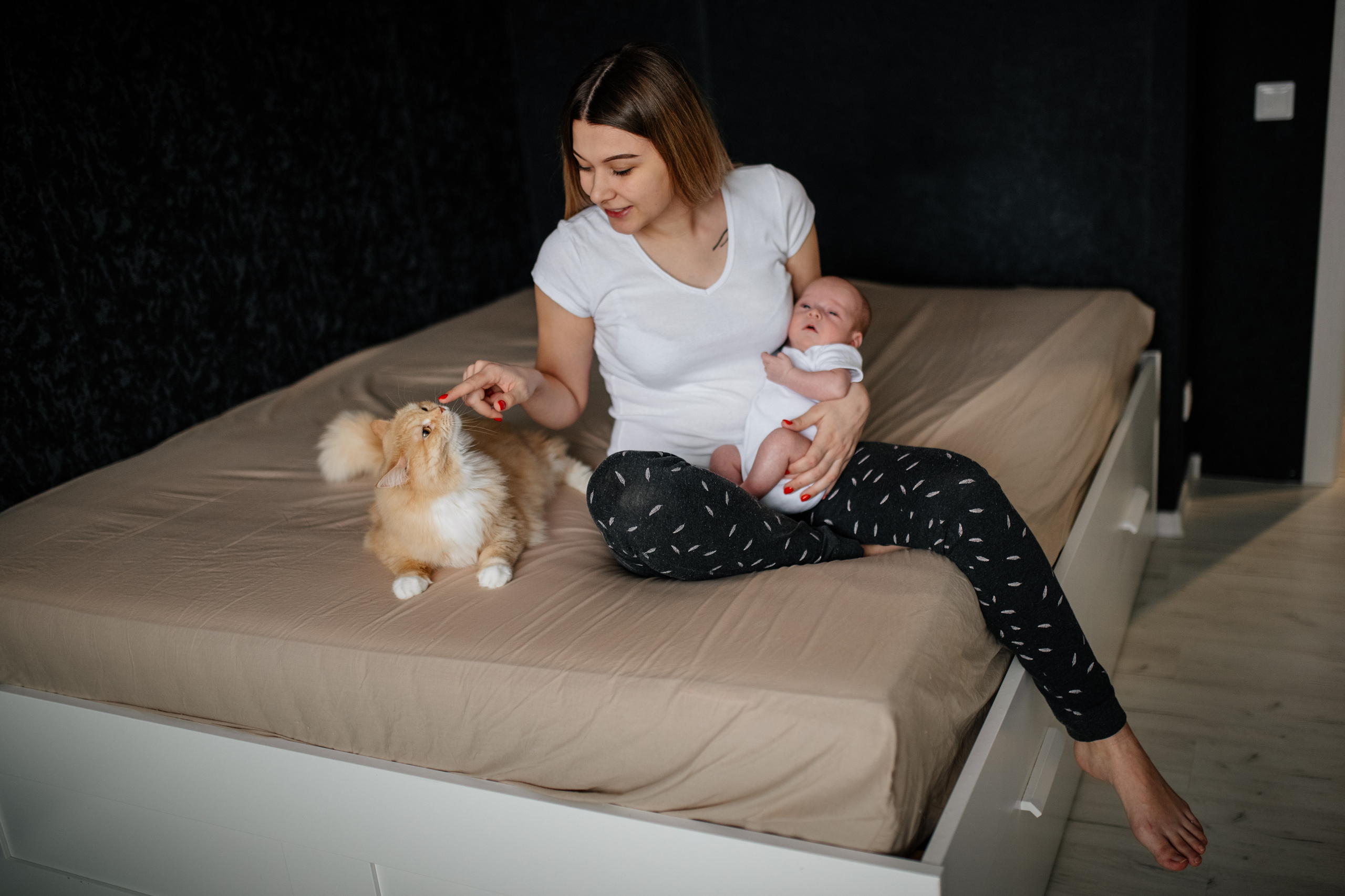 Слава Катя Ярослав. Семьи