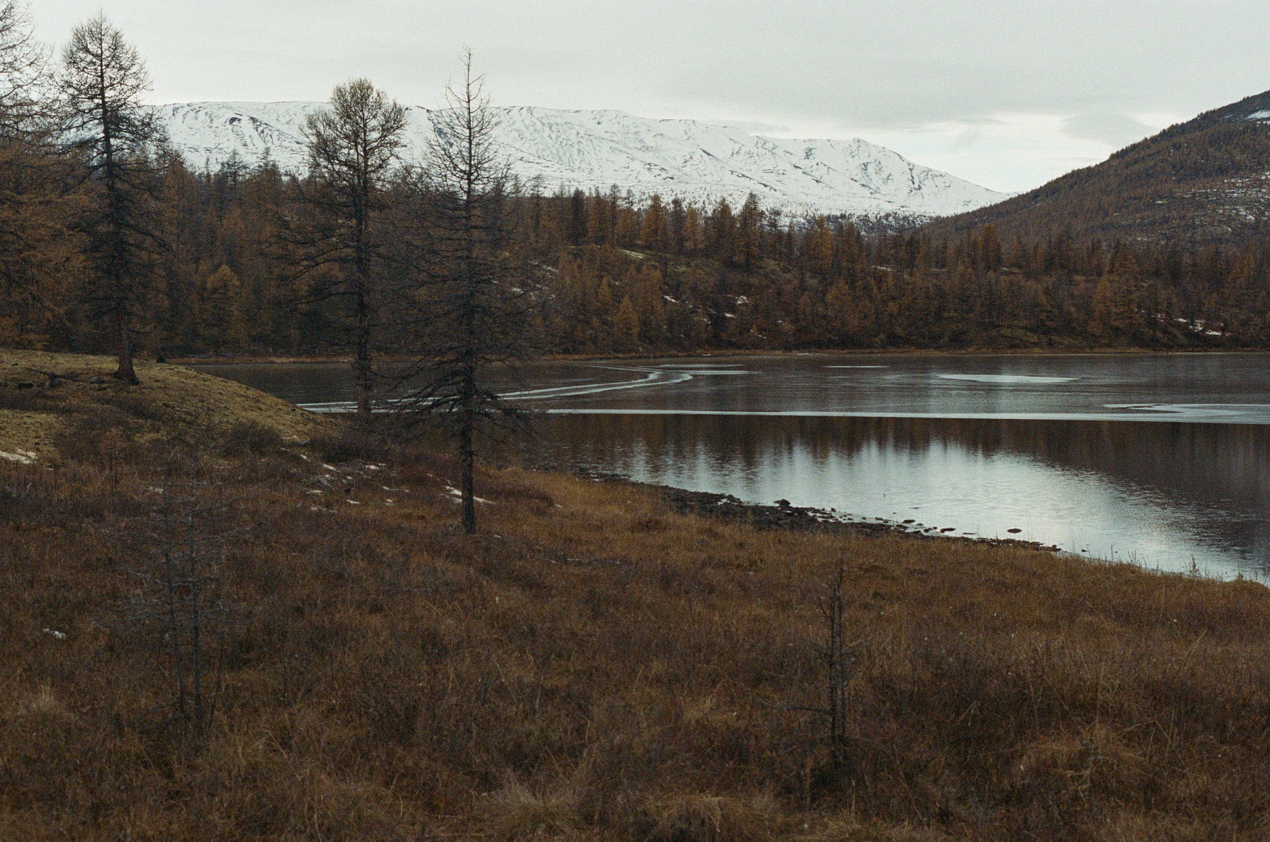Не забудь накормить озеро. Natalya Madilyan