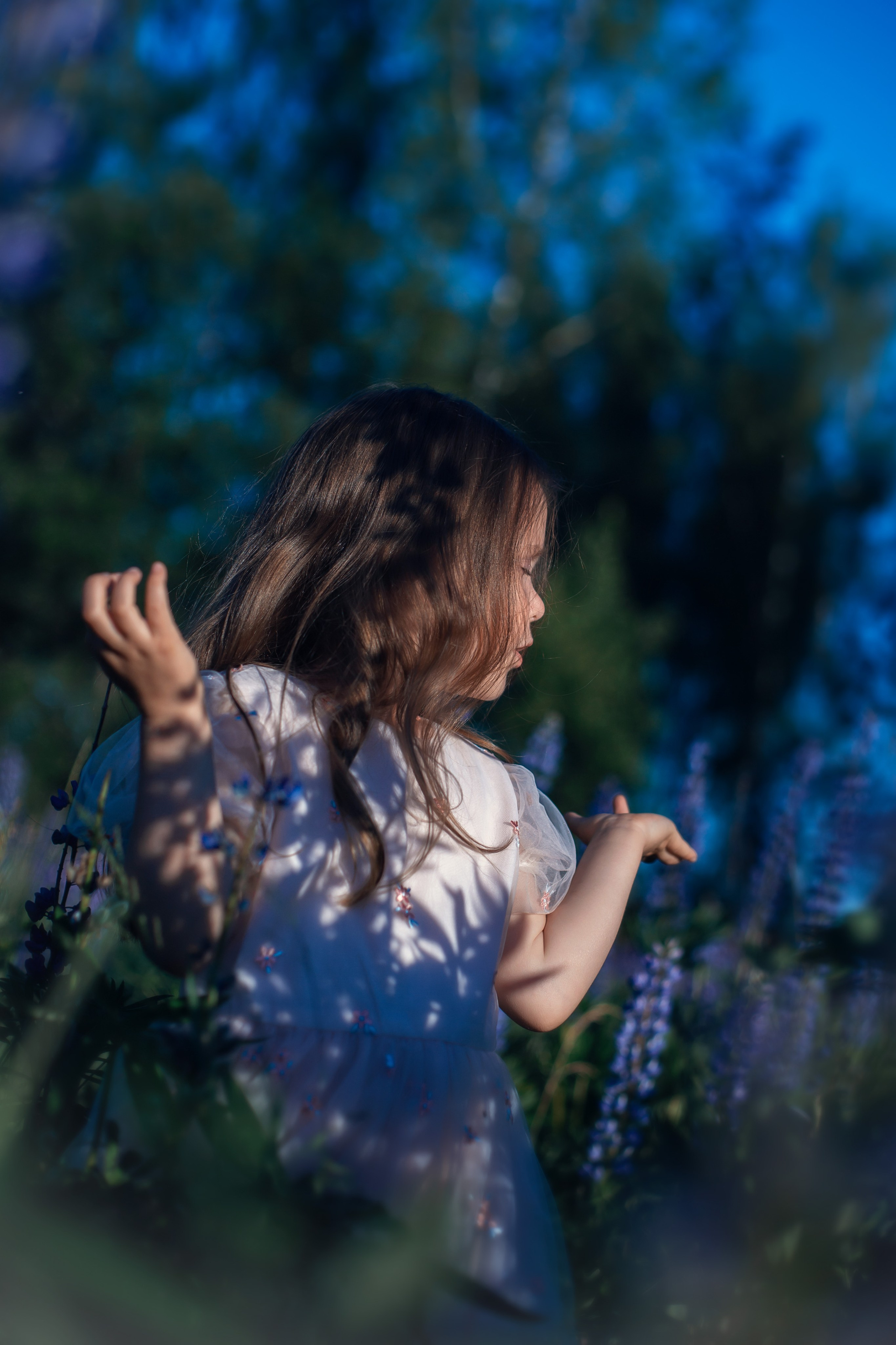 Люпины_Псковская область. Семейный фотограф в Санкт-Петербурге