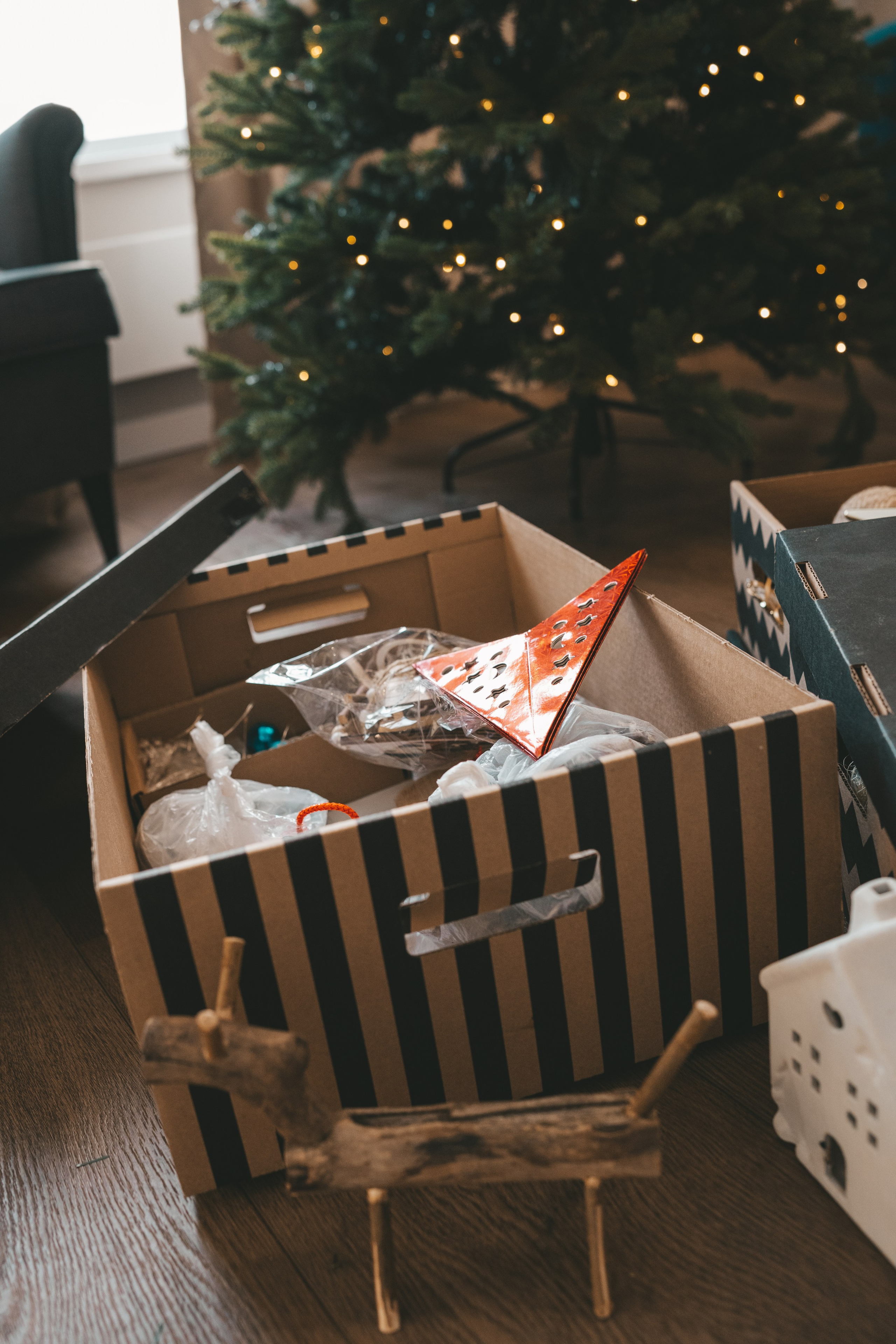 Новогодняя семейная съемка с двумя детьми. Фотограф Екатерина Канчалаба