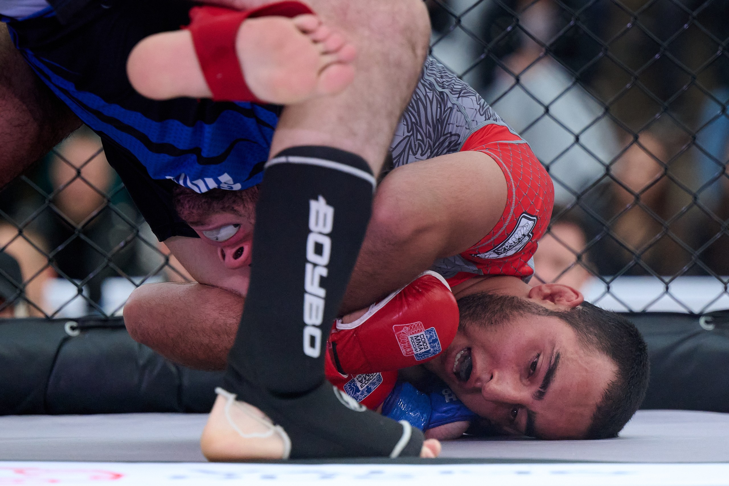 Контактные виды спорта. Спортивный репортажный фотограф в Ижевске Сергей Мерзляков