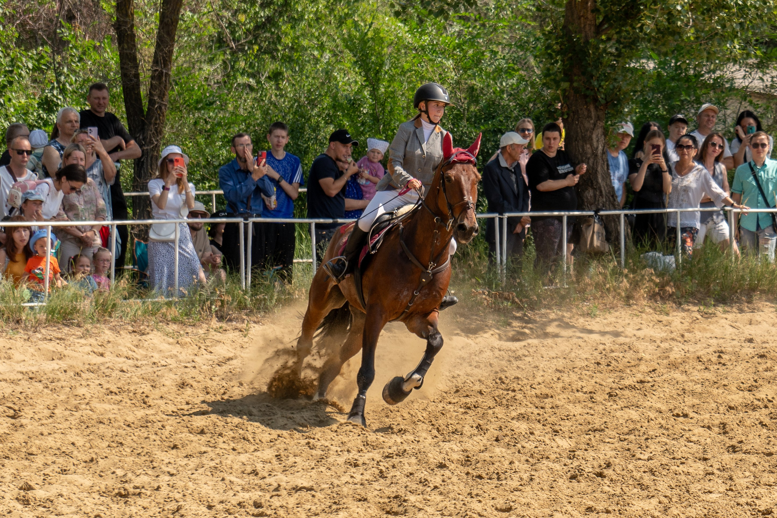 Соревнования по конкуру, Луганск. Фотограф в РФ и ЛНР Юлия Федосеева