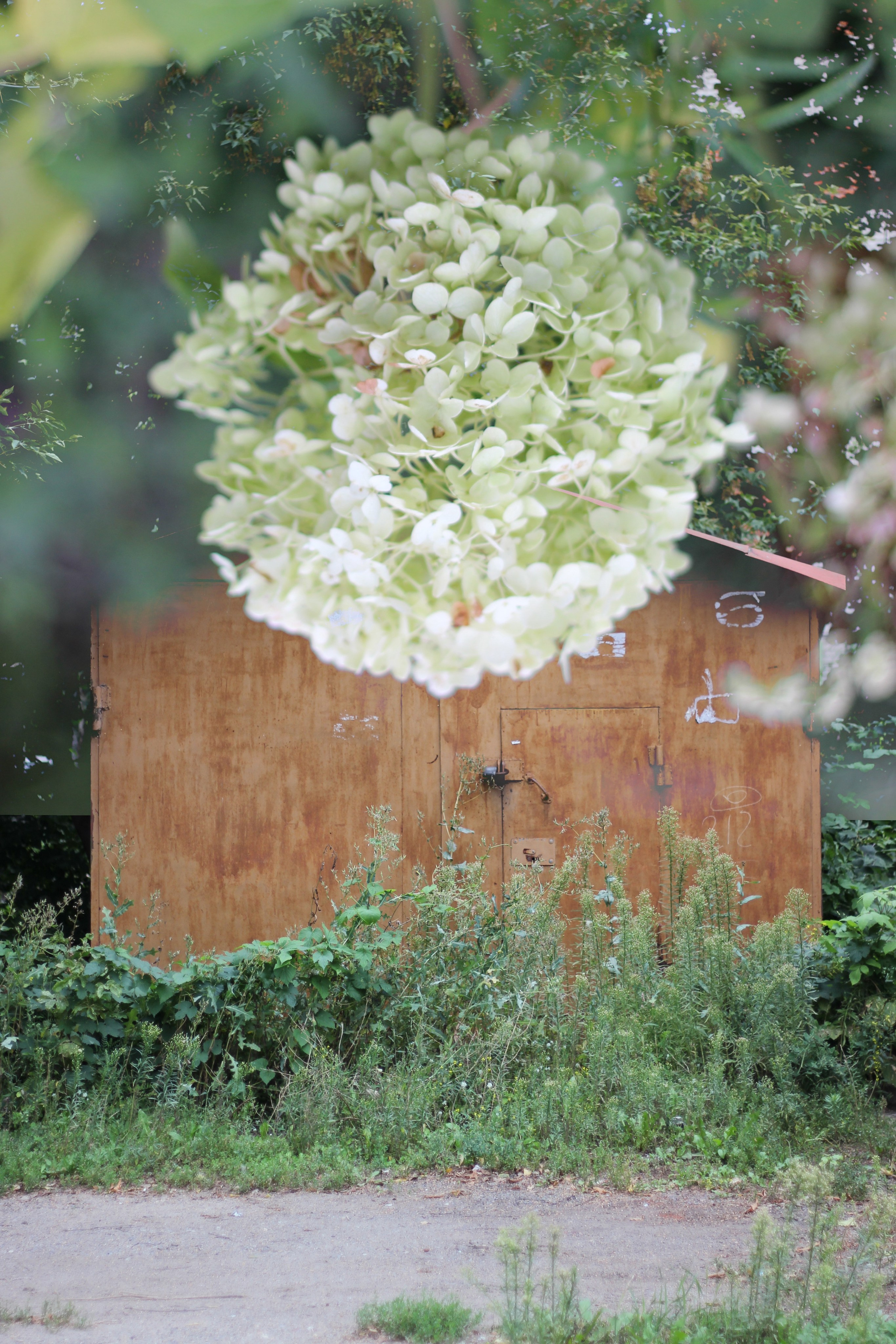 Double exposure. Фотограф в Казани / Регина Суфиянова