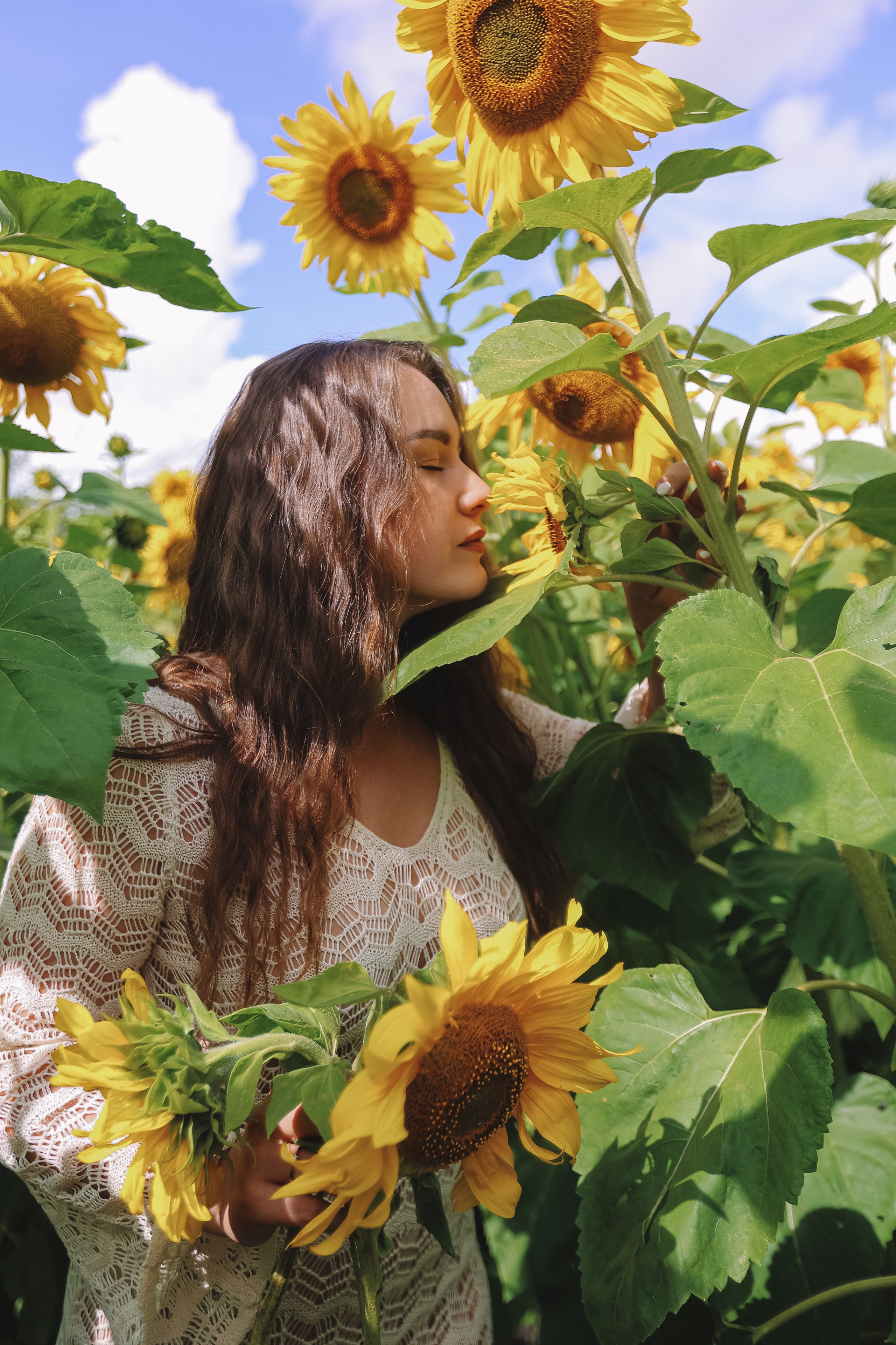 Подсолнухи. Семейный фотограф Тюмень, фотограф на роды Салмина Мария