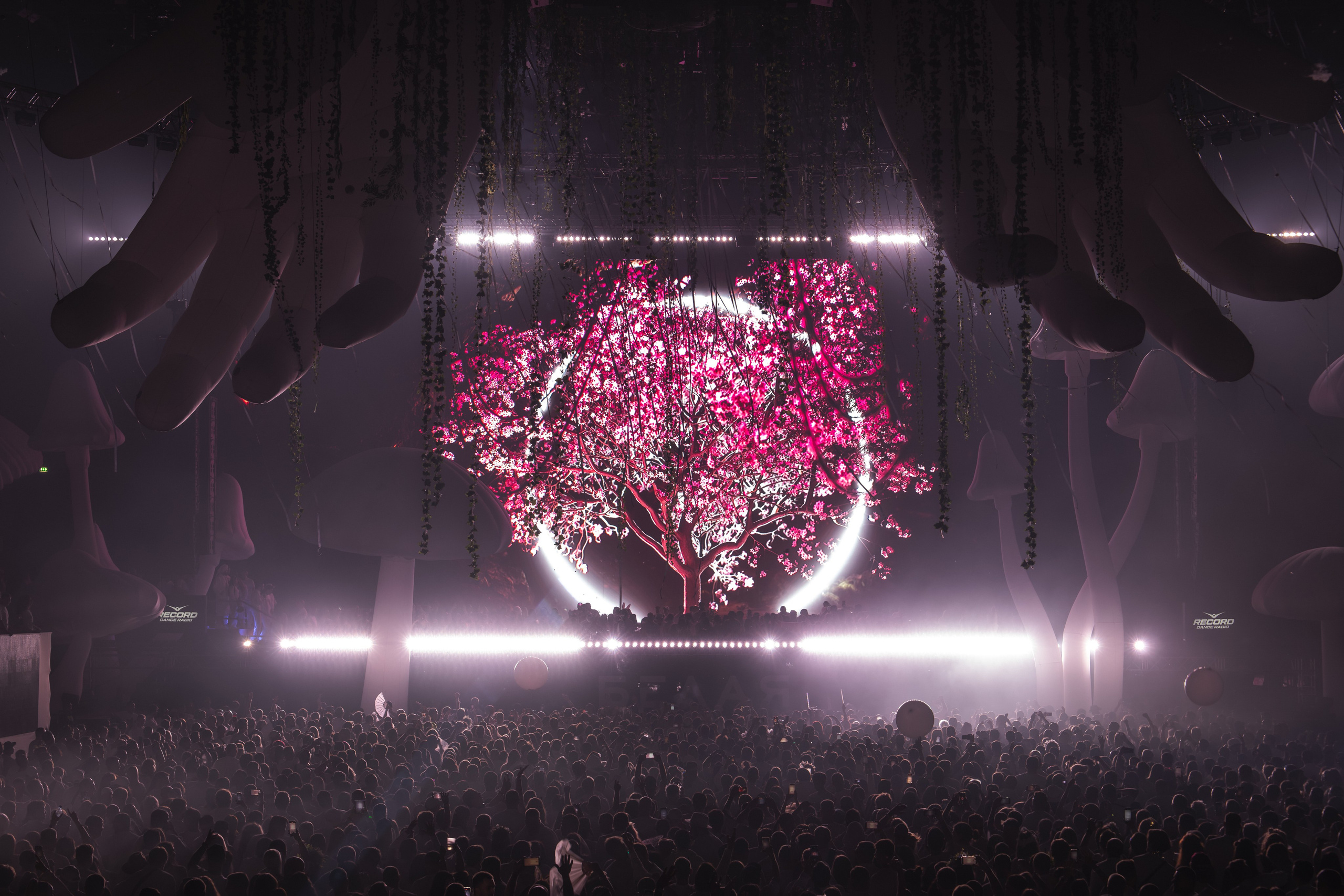 БЕЛАЯ 2025. Святослав Буньков | фотограф