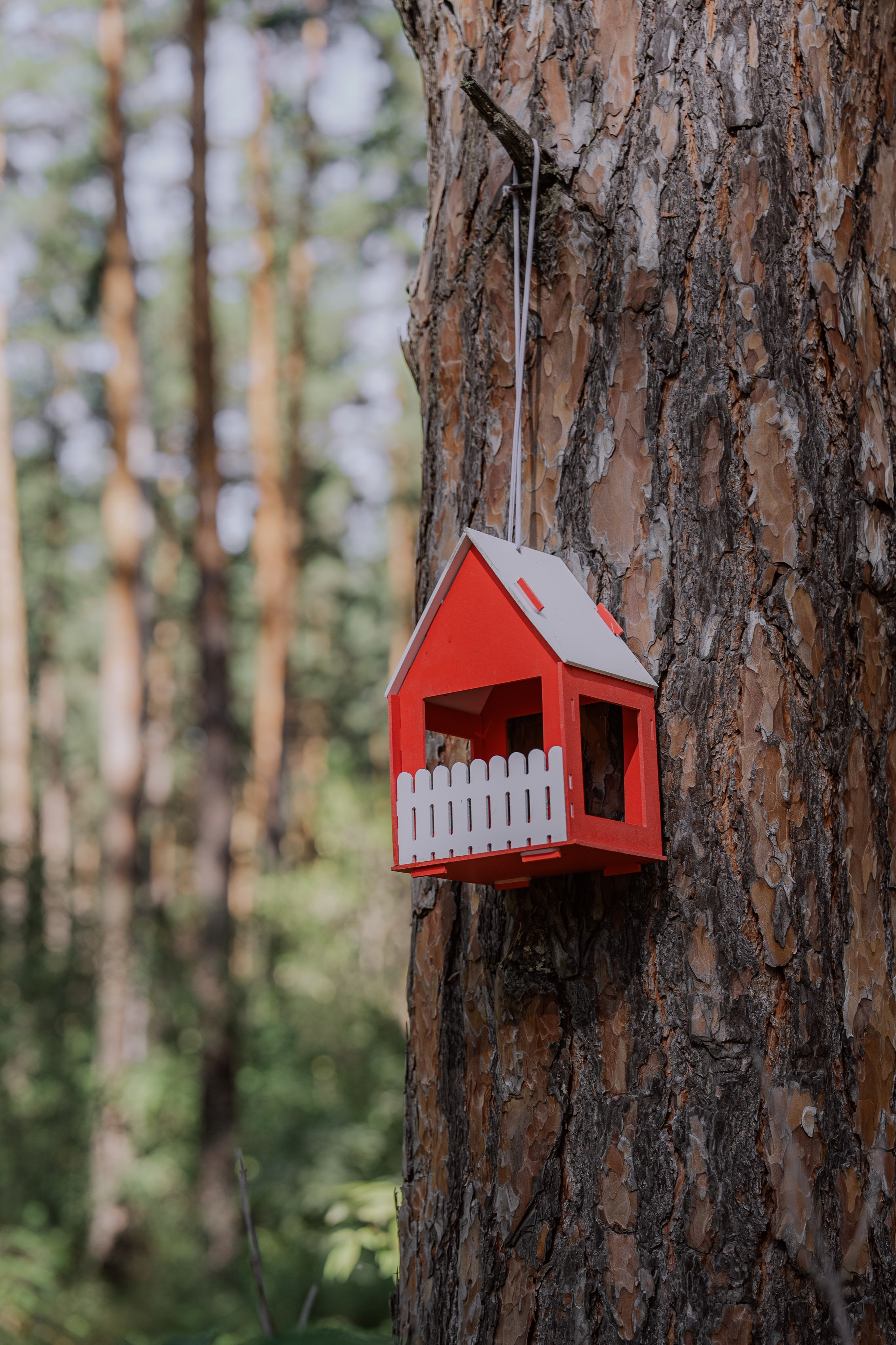 Сергей и Вероника 2024