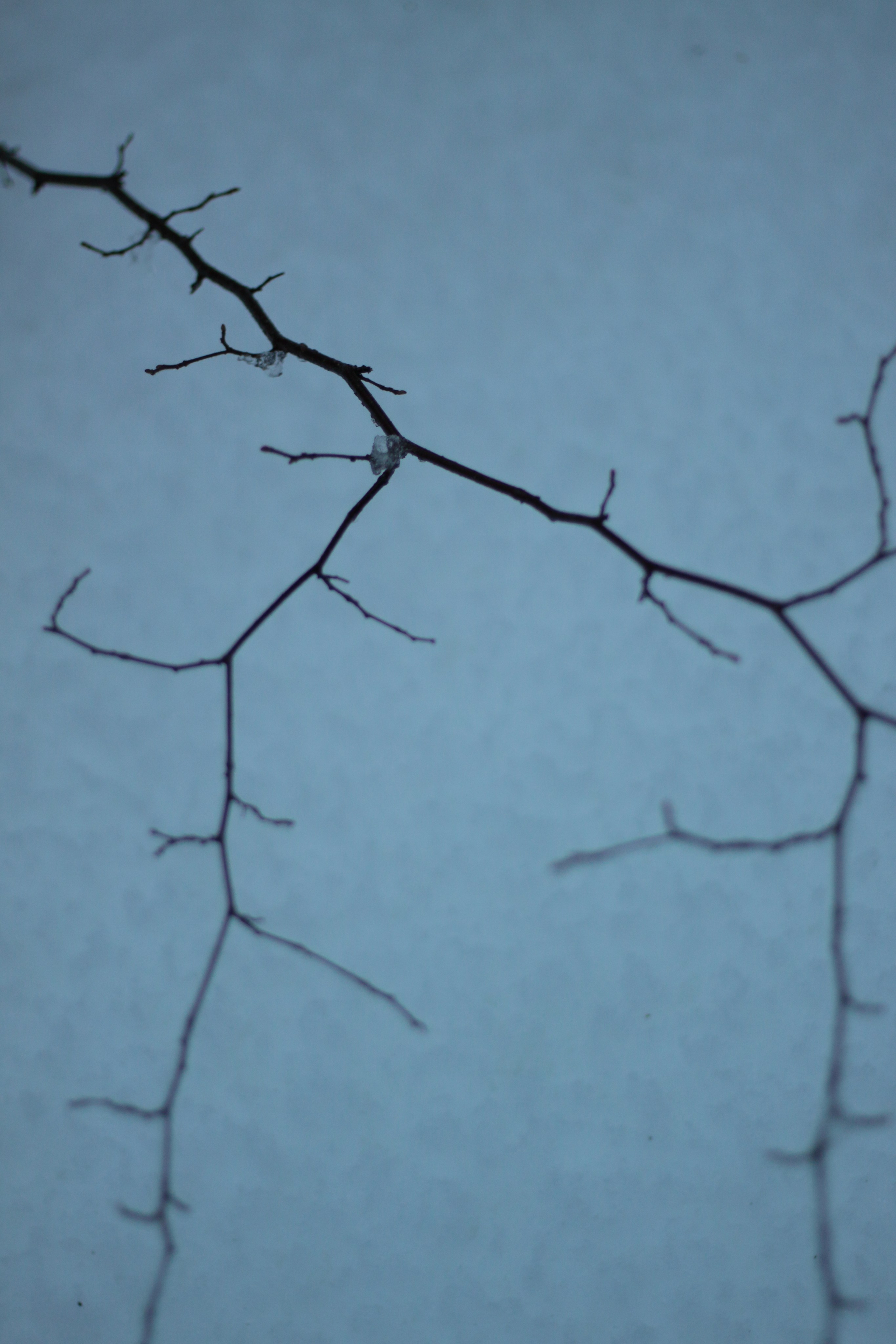 Старое природное, отбирала Katamount (Катерина Горохова). Главная