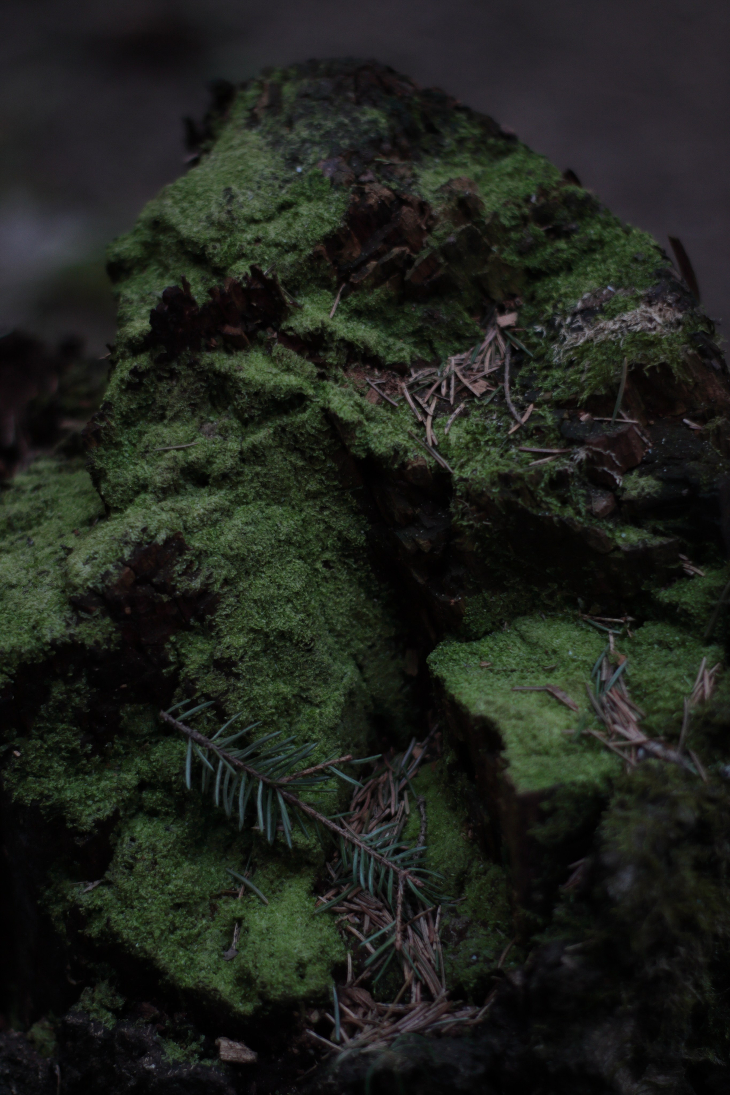 Старое природное, отбирала Katamount (Катерина Горохова). Главная