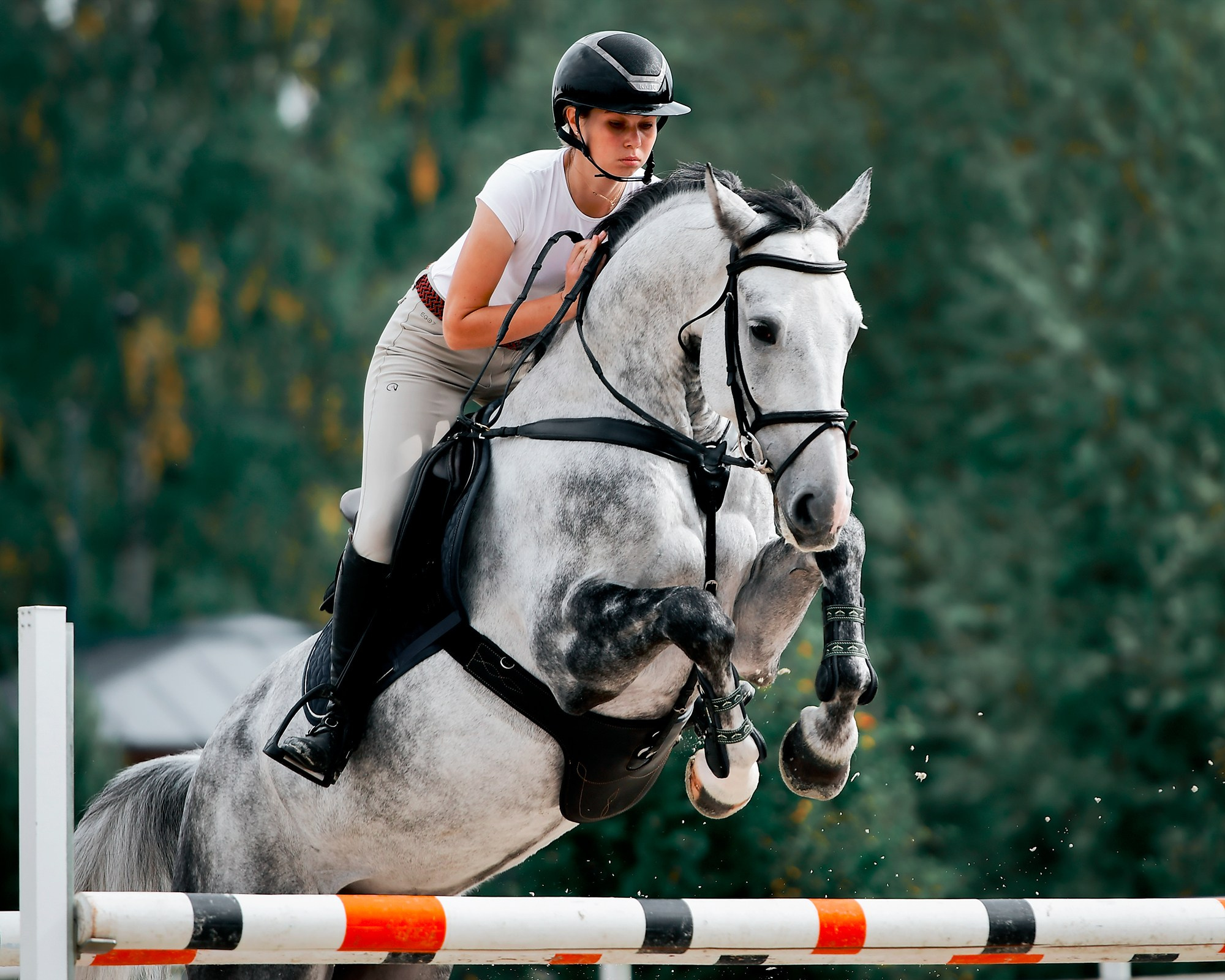 Тренировки. Конный фотограф Alesya Safe