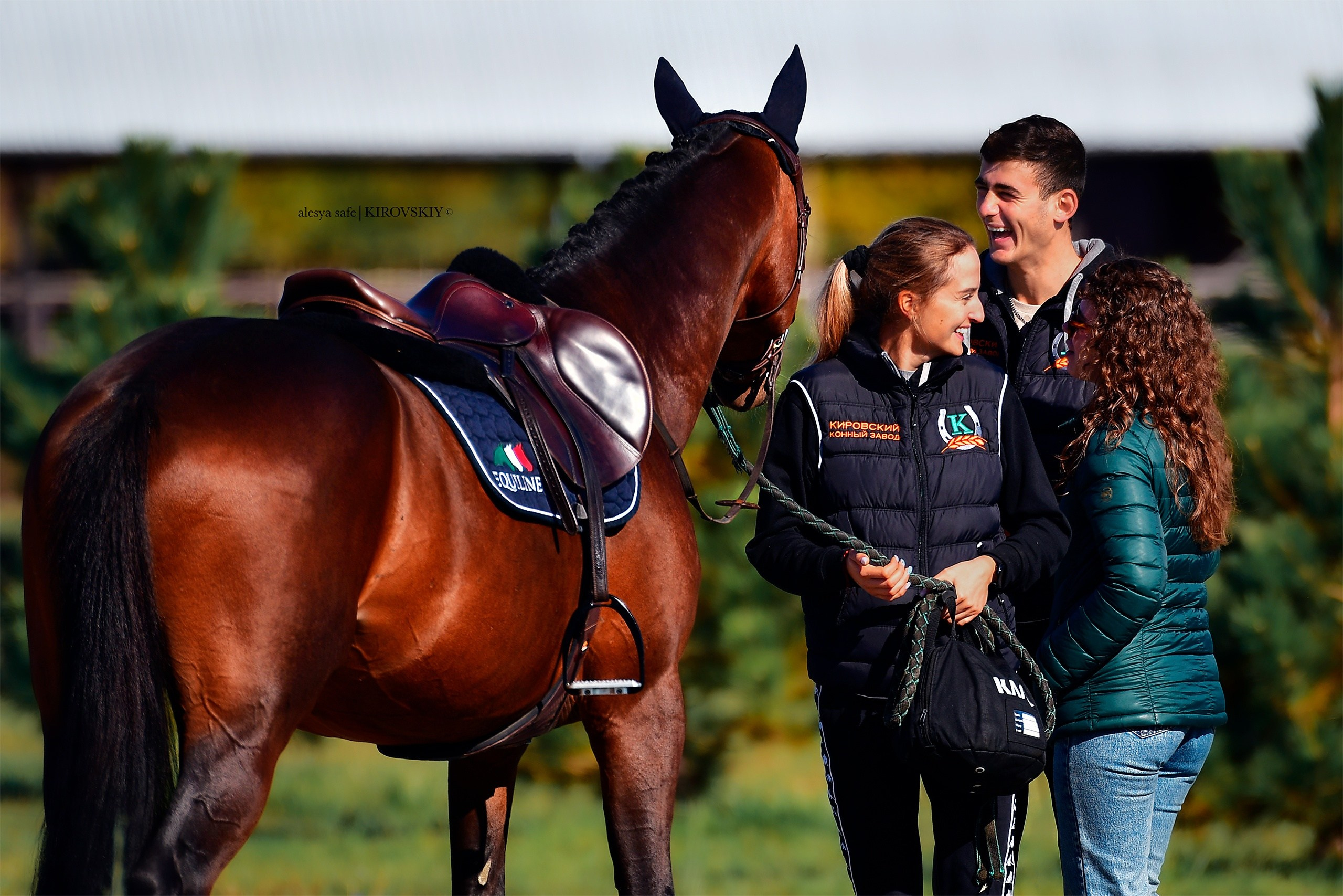 Кировский конный завод. Конный фотограф Alesya Safe