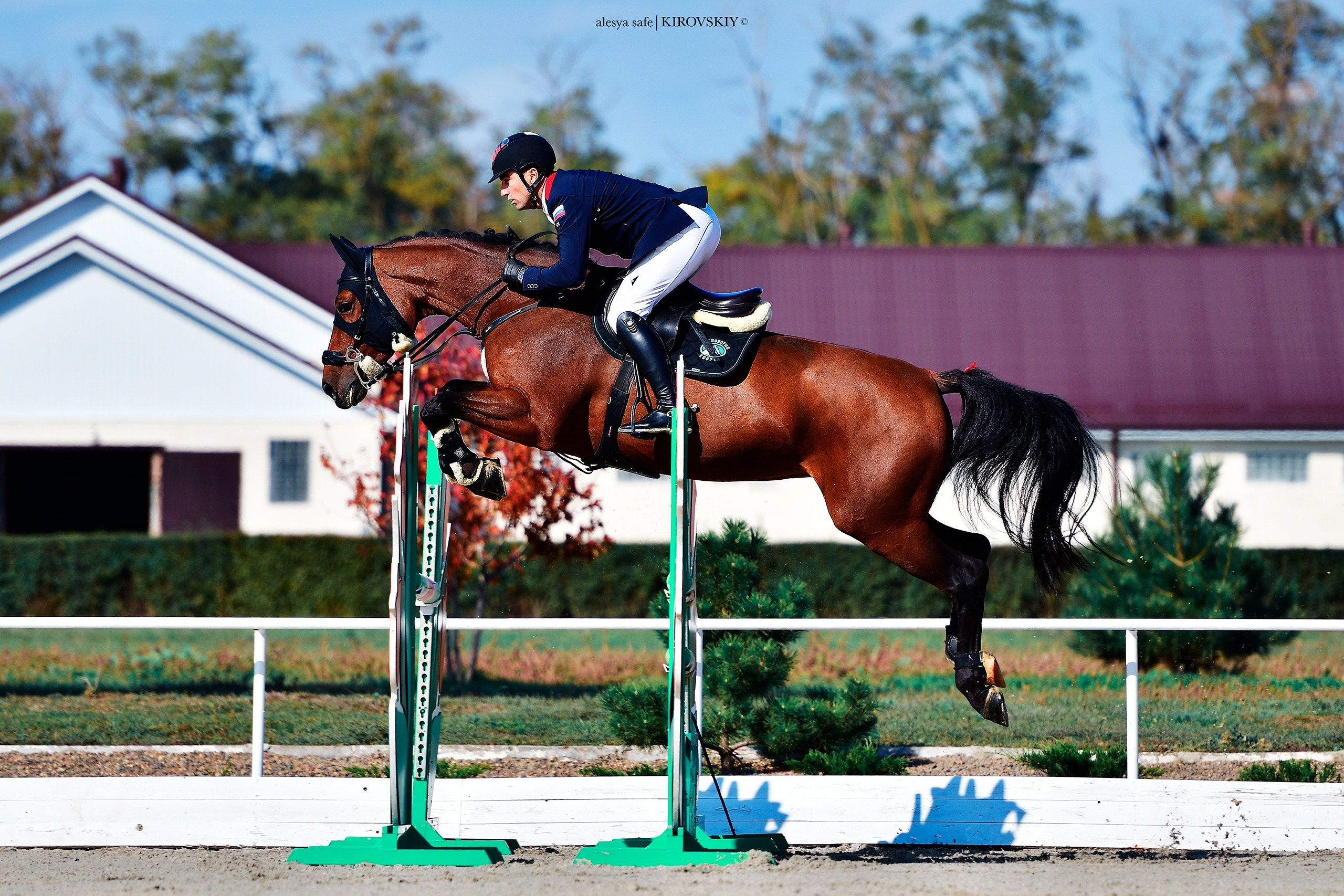 Кировский конный завод. Конный фотограф Alesya Safe