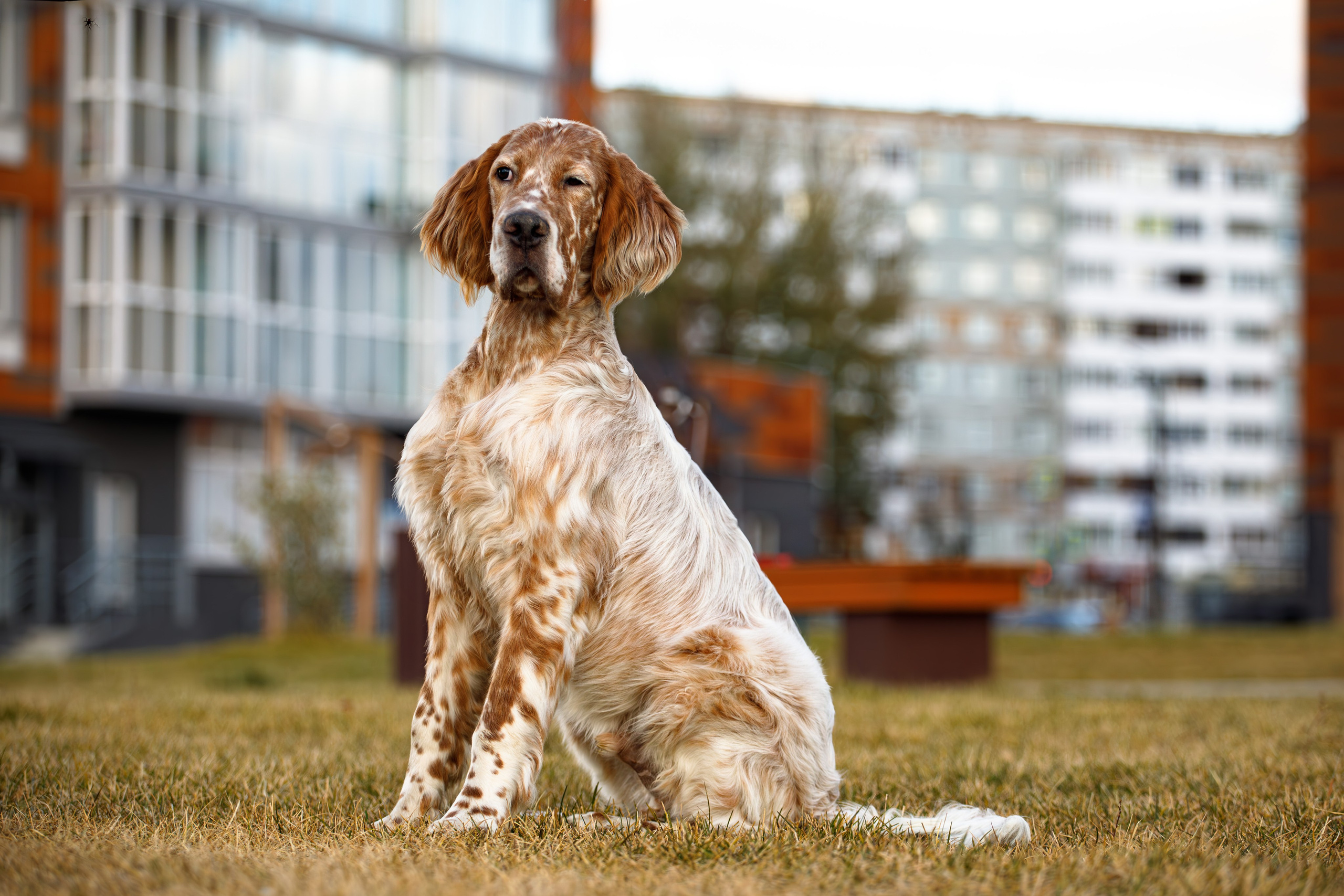 Андрей и Милан. Фотограф Екатерина Козловская