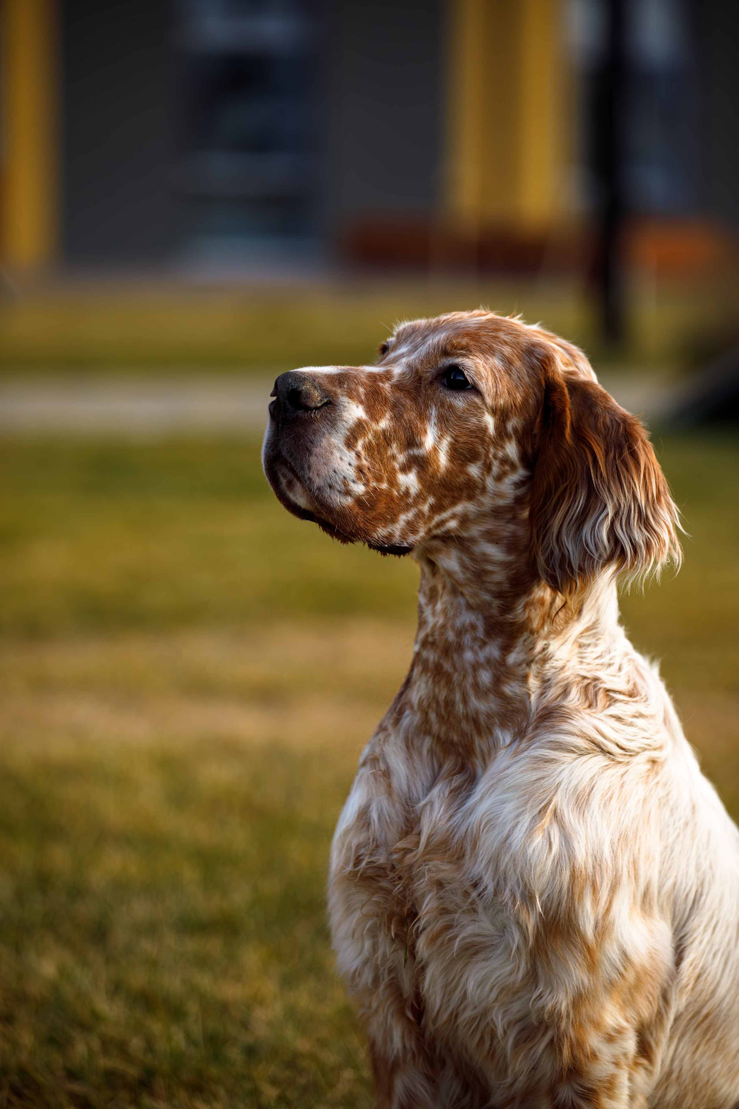 Андрей и Милан. Фотограф Екатерина Козловская