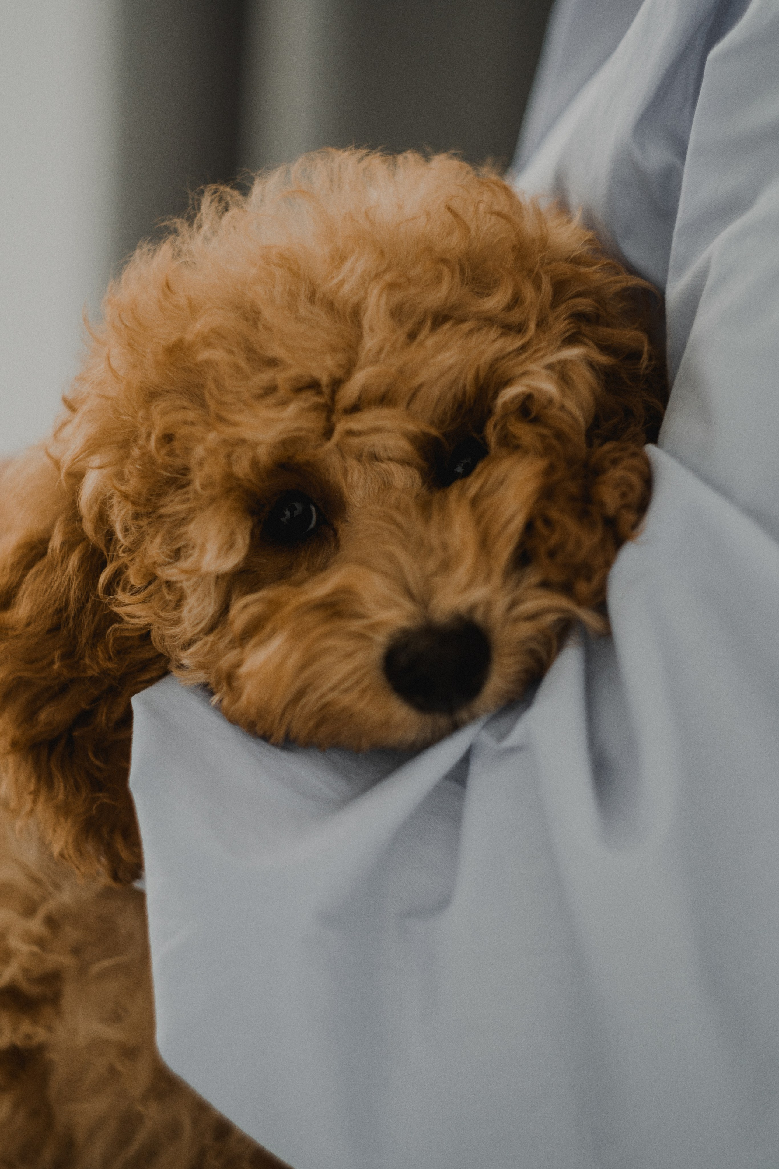 MAKSIM&TATIANA. MAX TIHANKOV