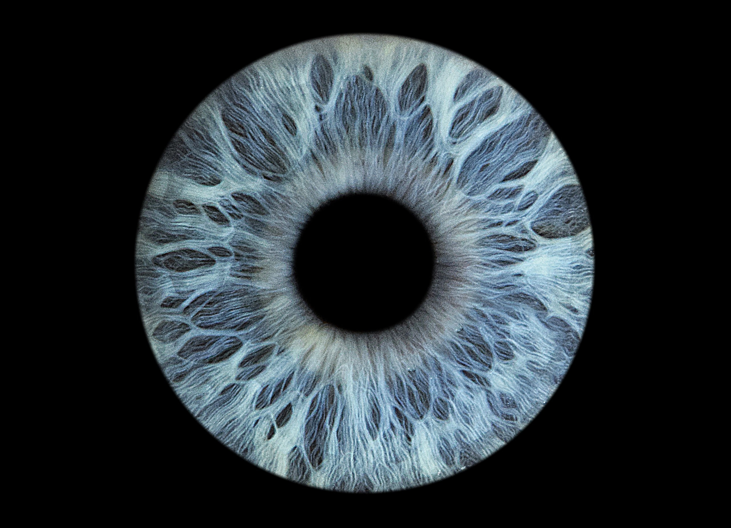 Портфолио. EYEtob | Фотография радужной оболочки | Тобольск