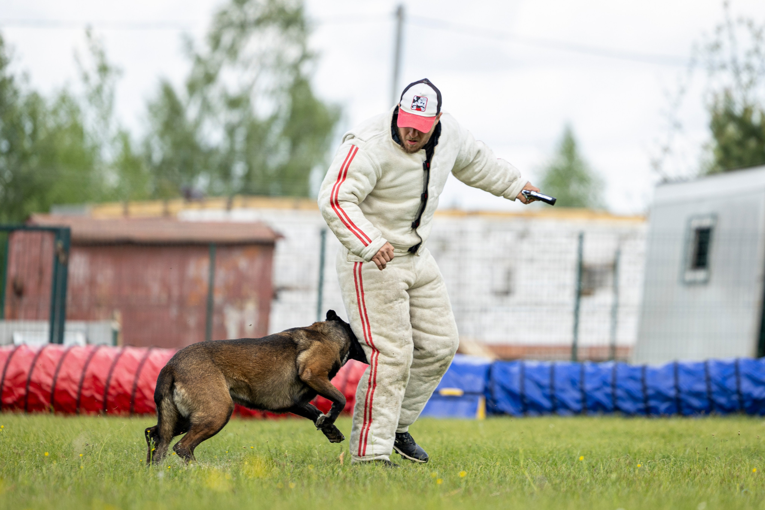 Испытания по мондьорингу в Нижнем Новгороде. Фотограф-анималист Анна Маринич