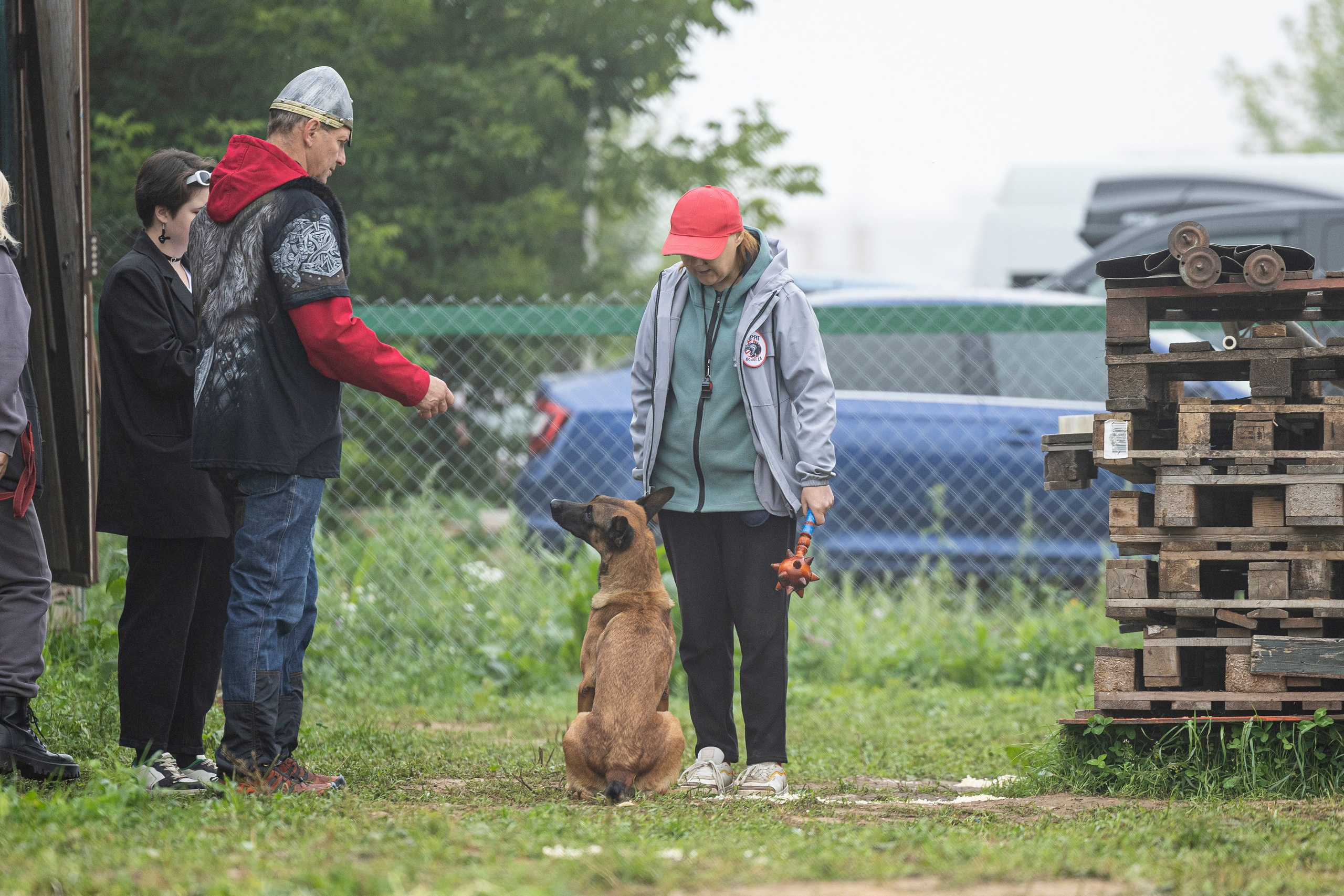 Соревнования по Мондьорингу г. Вологда 10-11.08.2024. Фотограф-анималист Анна Маринич