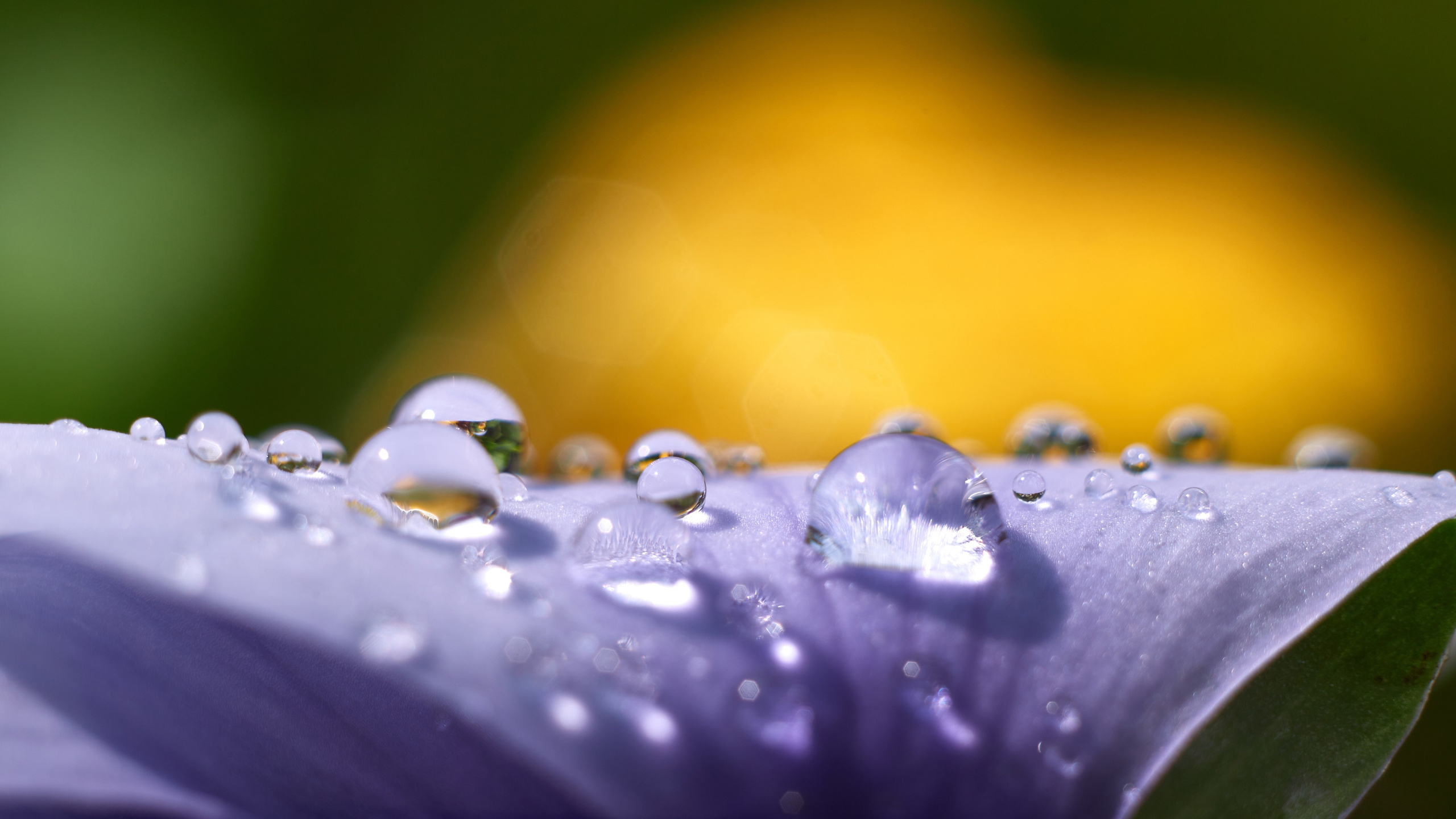 Art пейзаж. Фотограф Анастасия Федорова  Санкт-Петербург