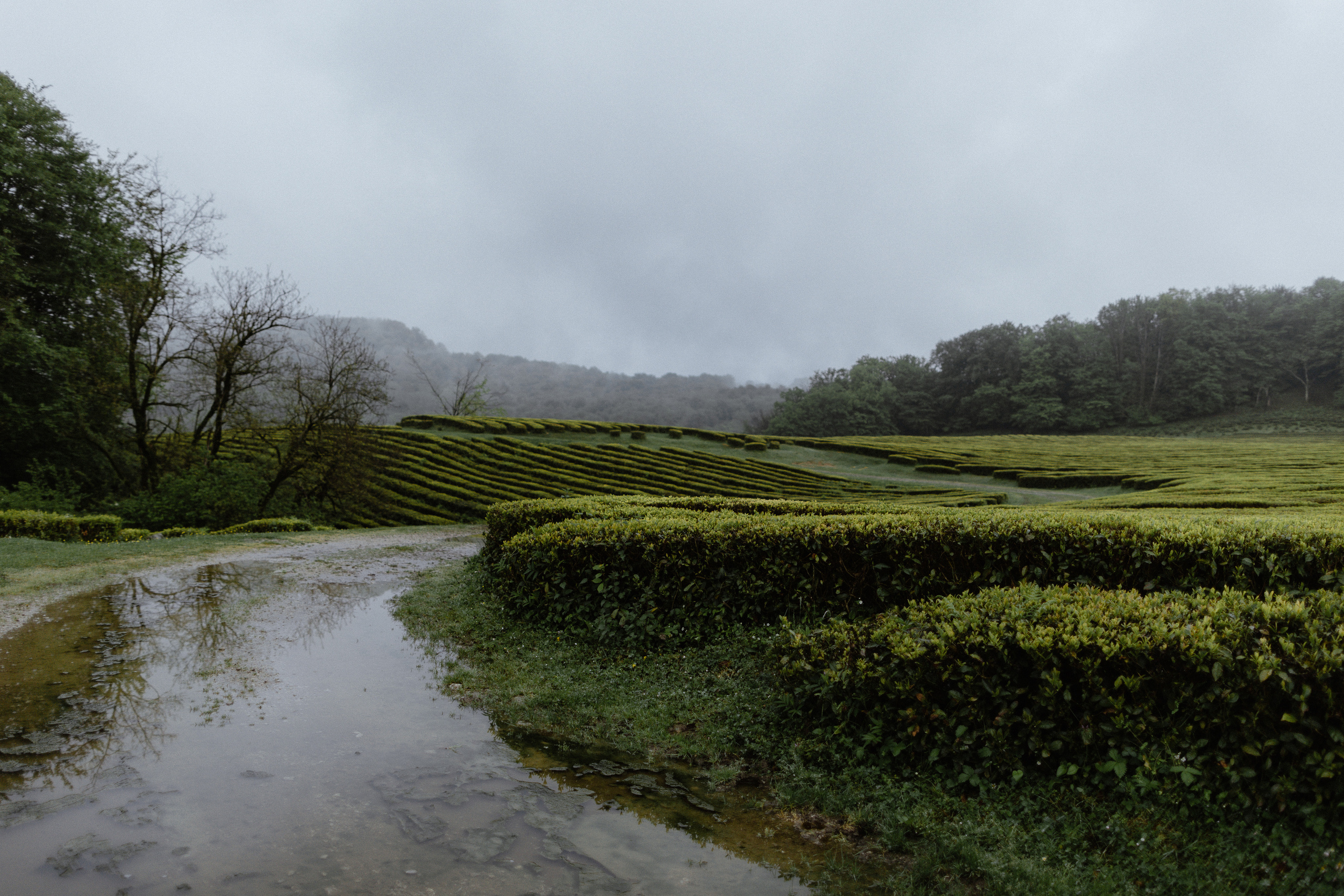 N — D. Elopement Wedding Photographer