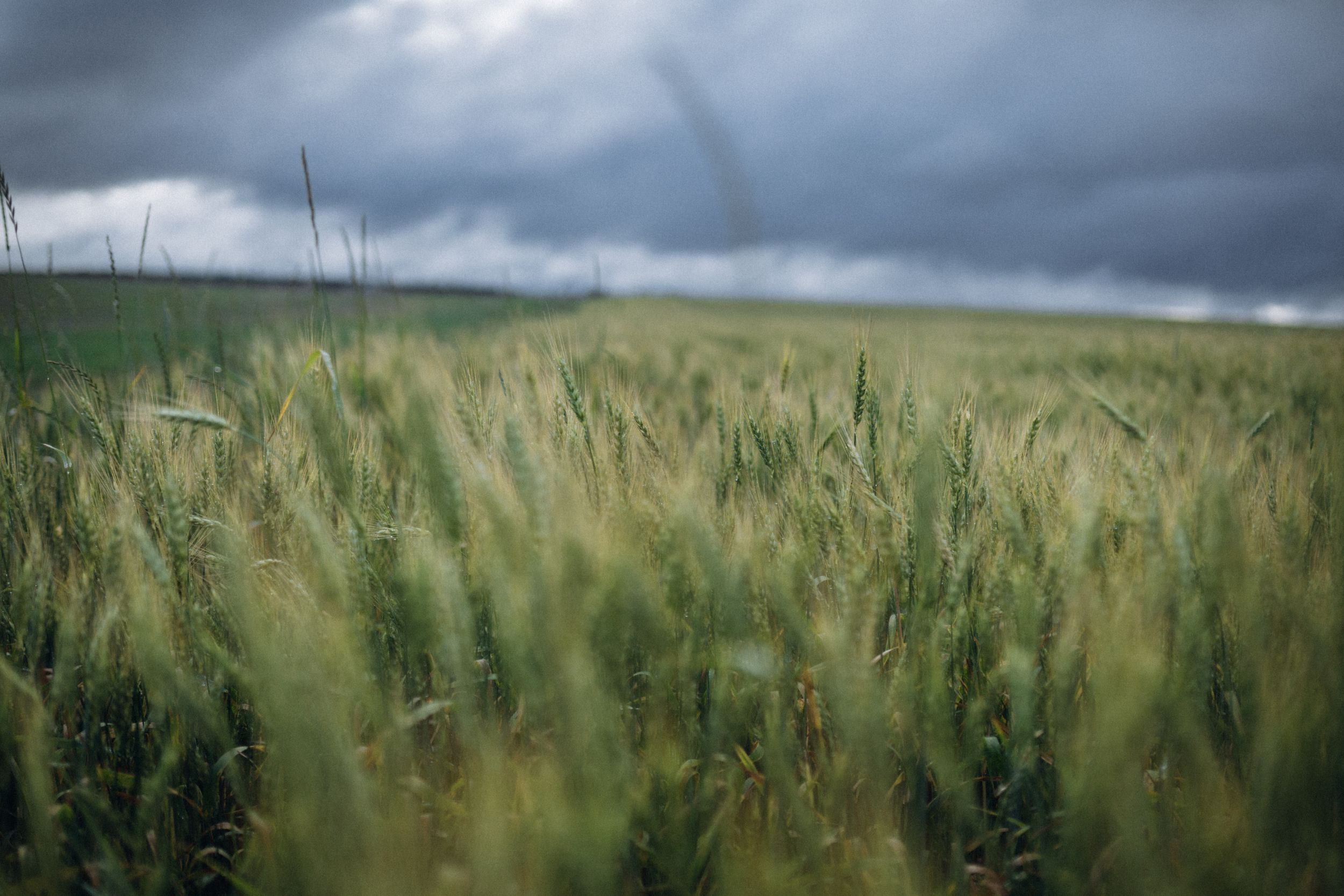 Венера — Стас. Elopement Wedding Photographer