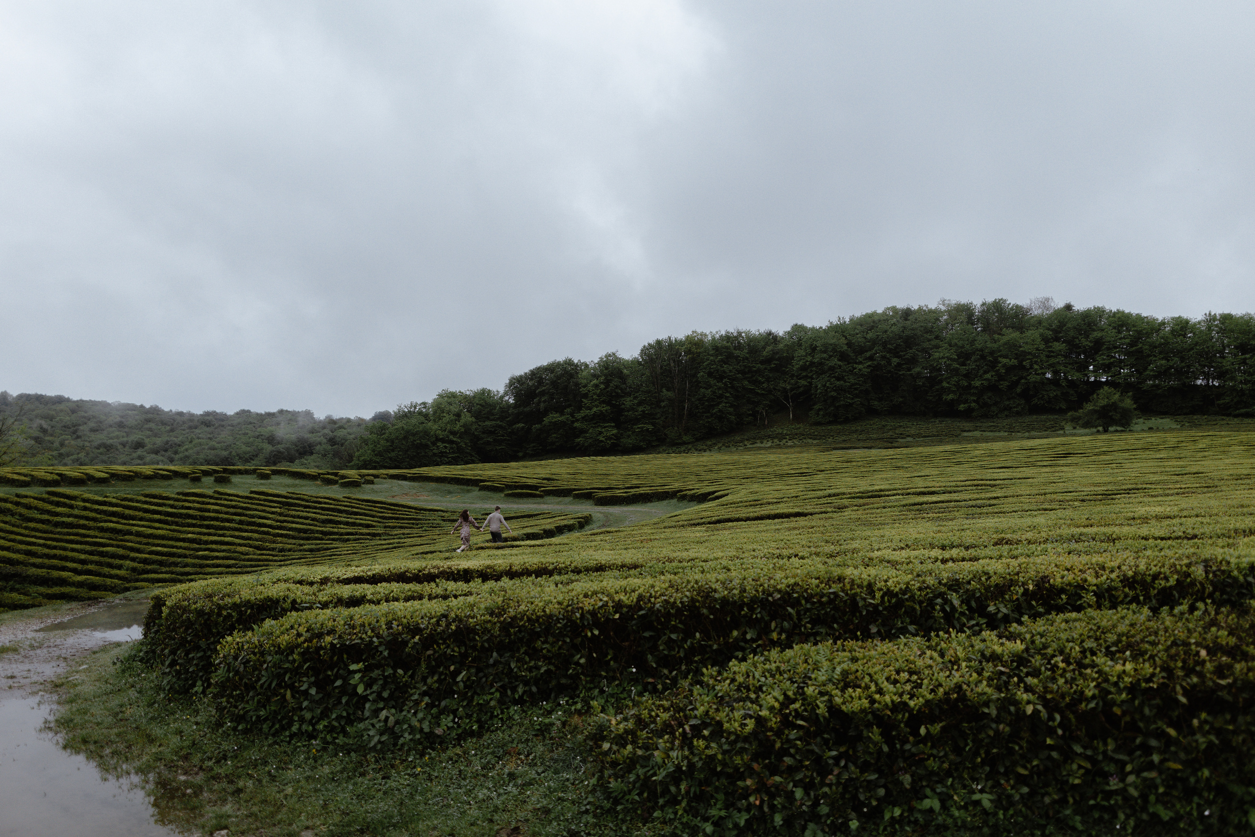 N — D. Elopement Wedding Photographer