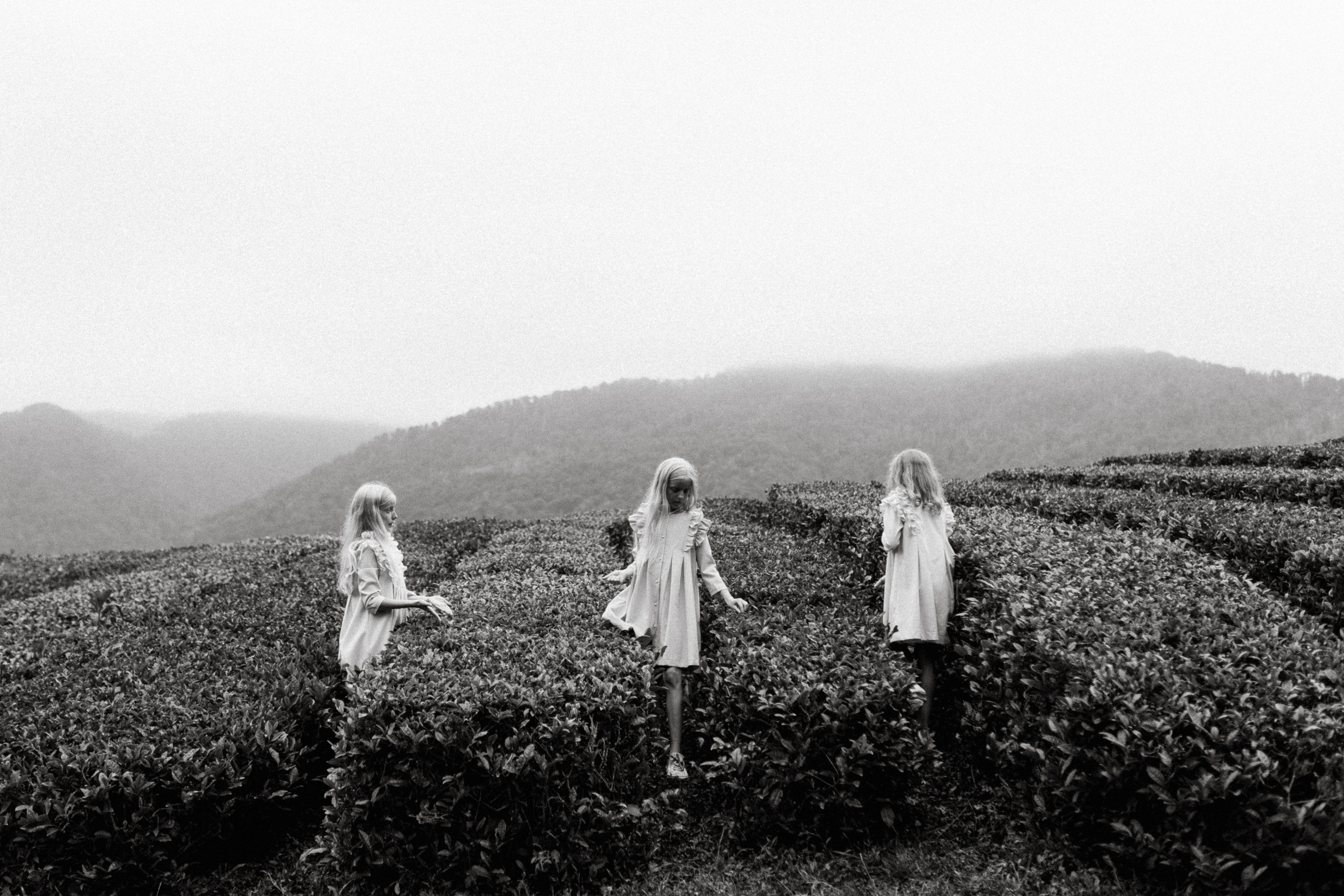 Три слова. Elopement Wedding Photographer