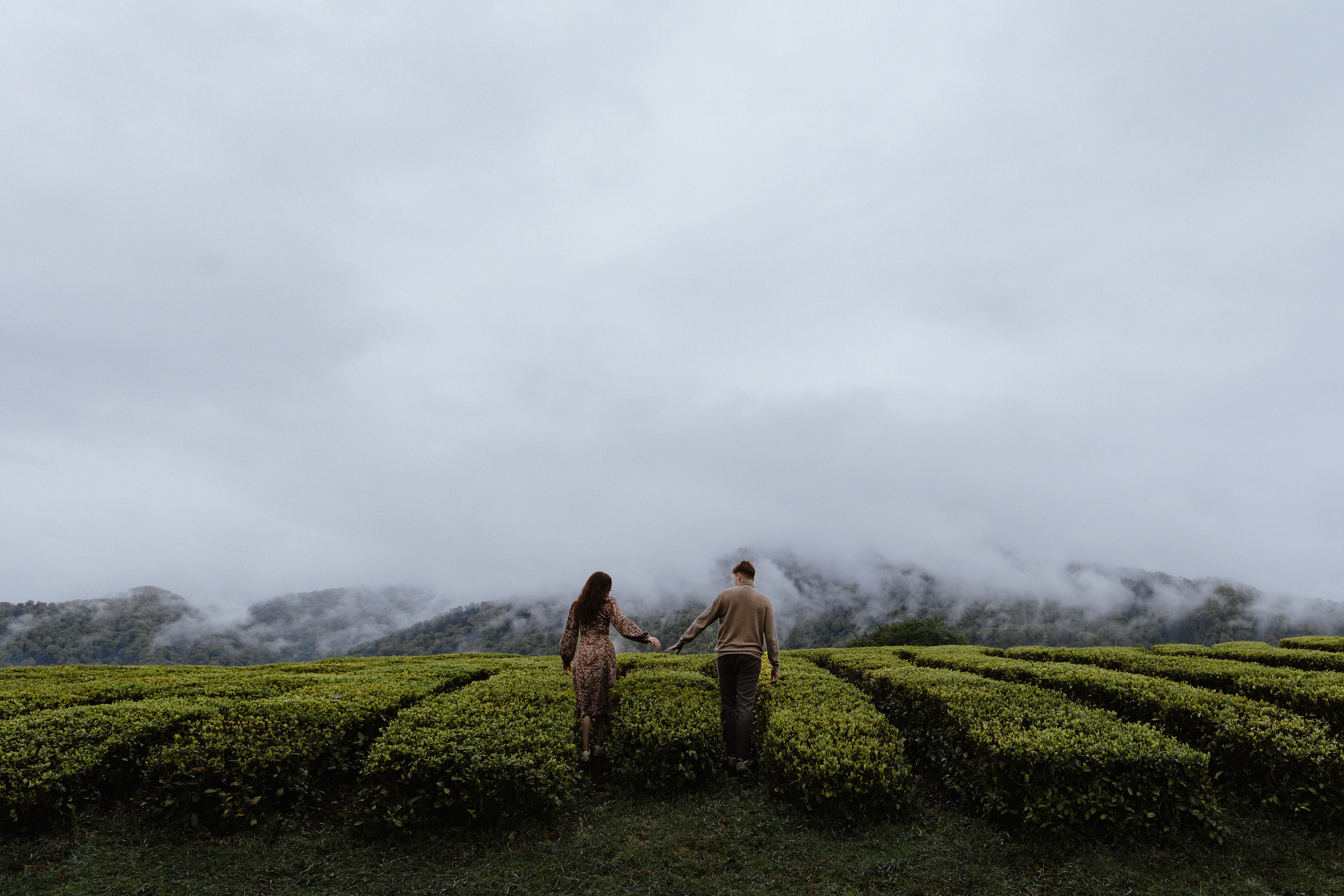 N — D. Elopement Wedding Photographer