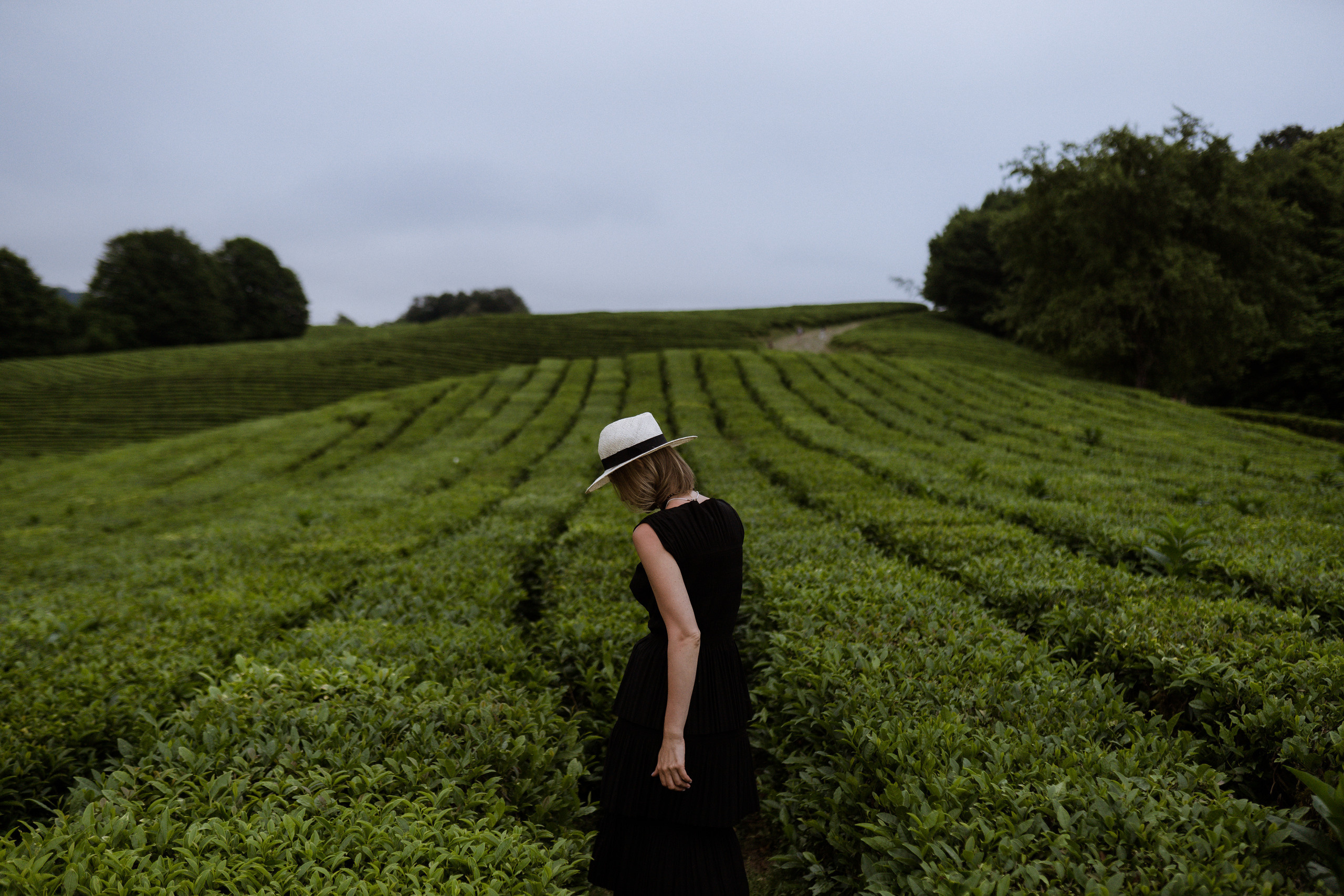 Три слова. Elopement Wedding Photographer