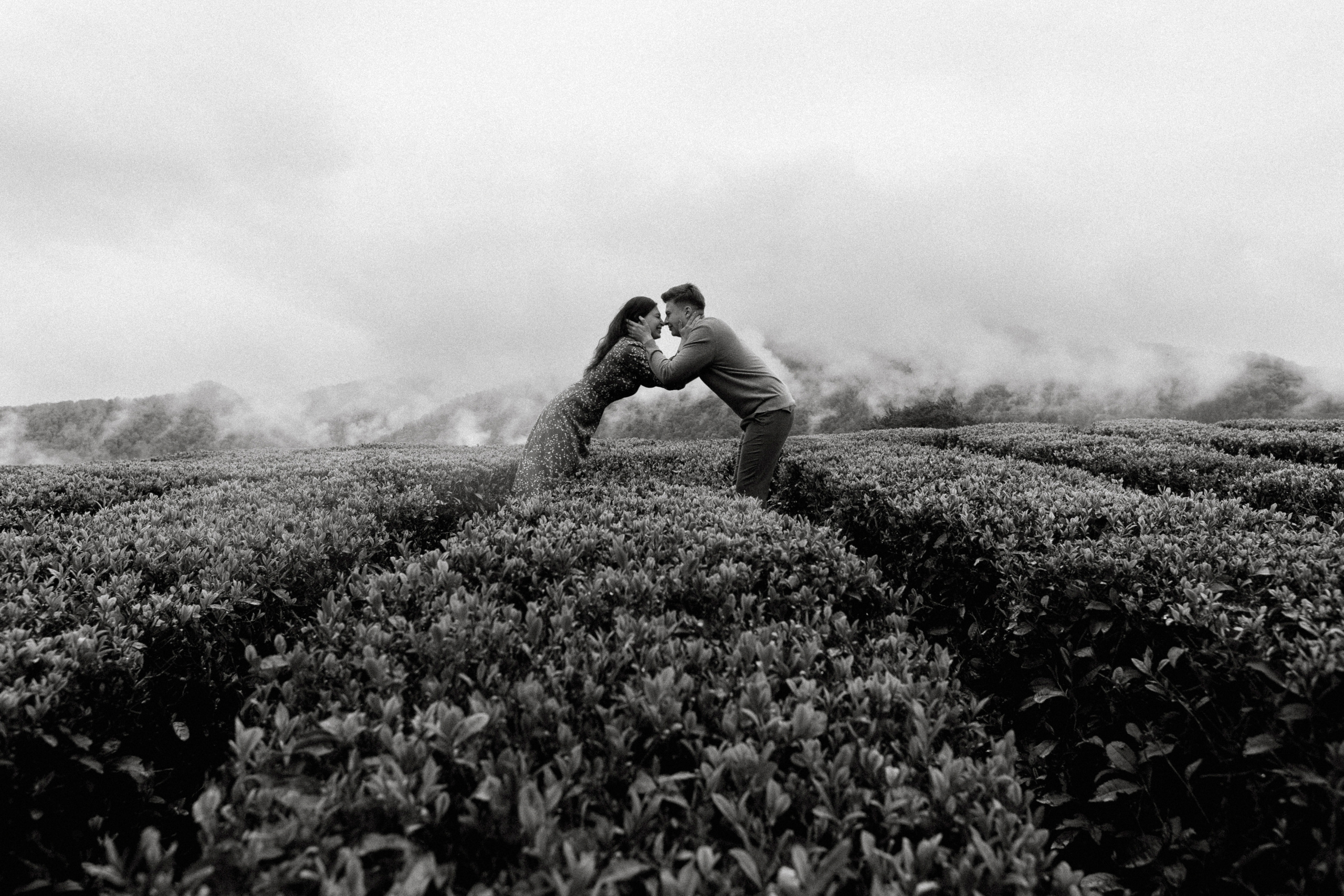 N — D. Elopement Wedding Photographer