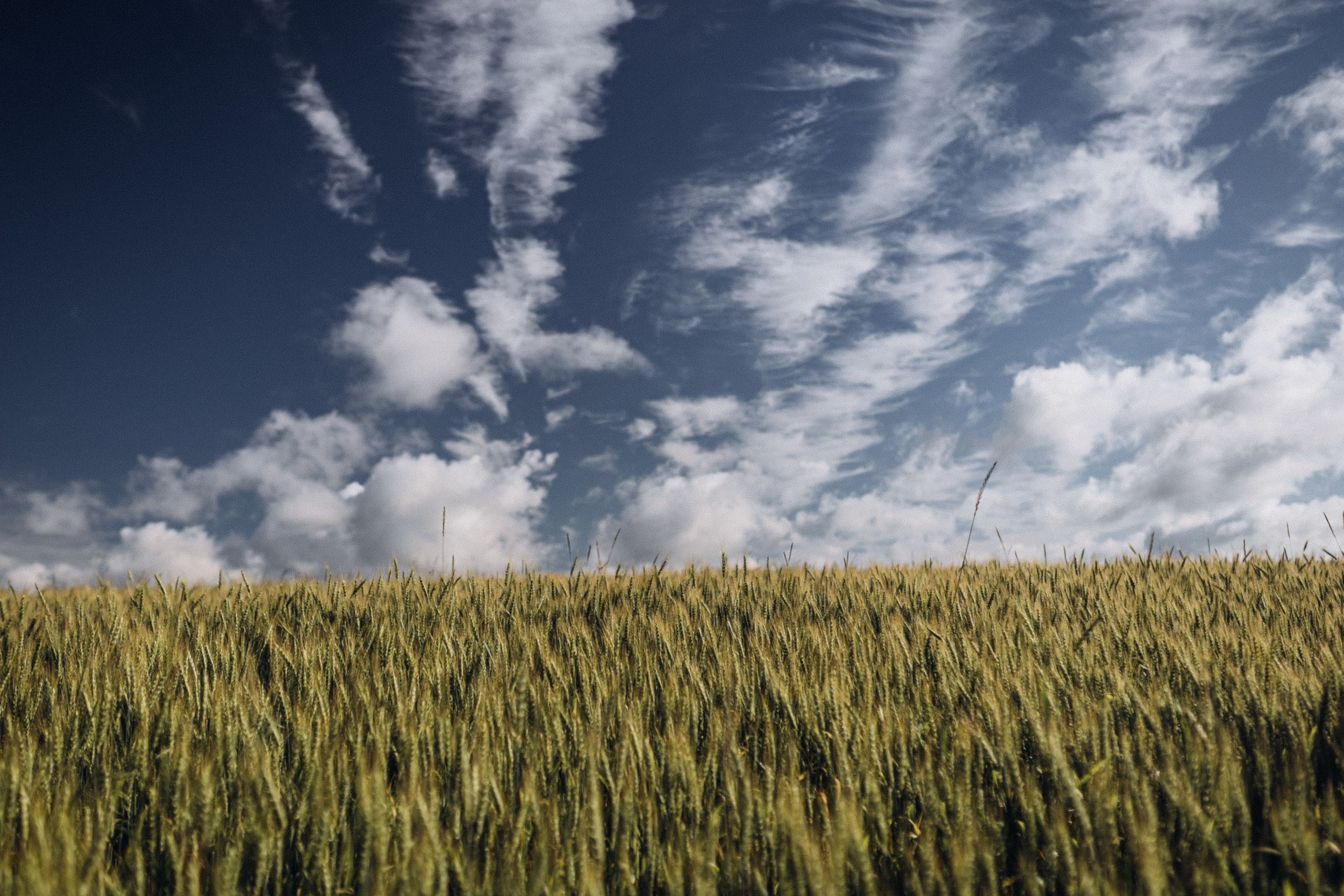 Венера — Стас. Elopement Wedding Photographer
