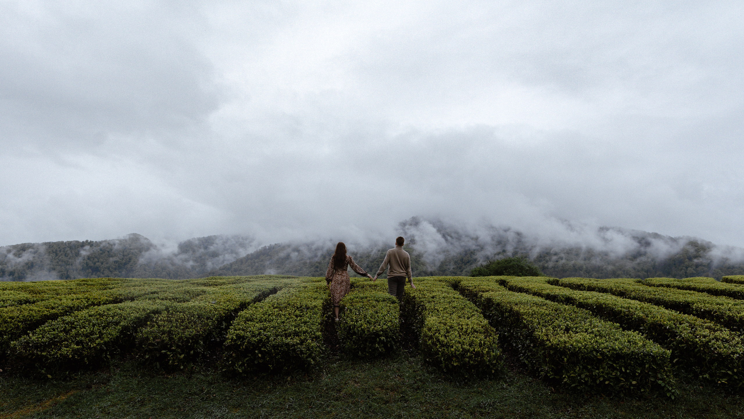 N — D. Elopement Wedding Photographer