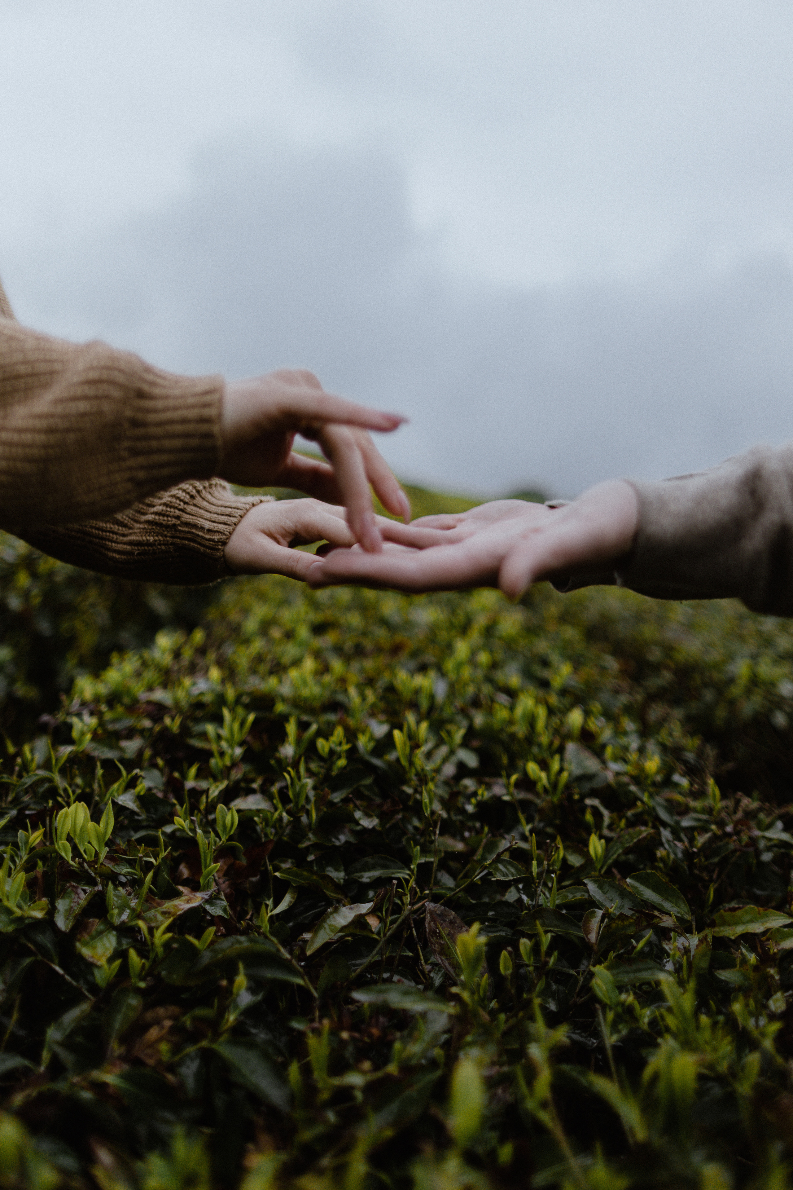 N — D. Elopement Wedding Photographer