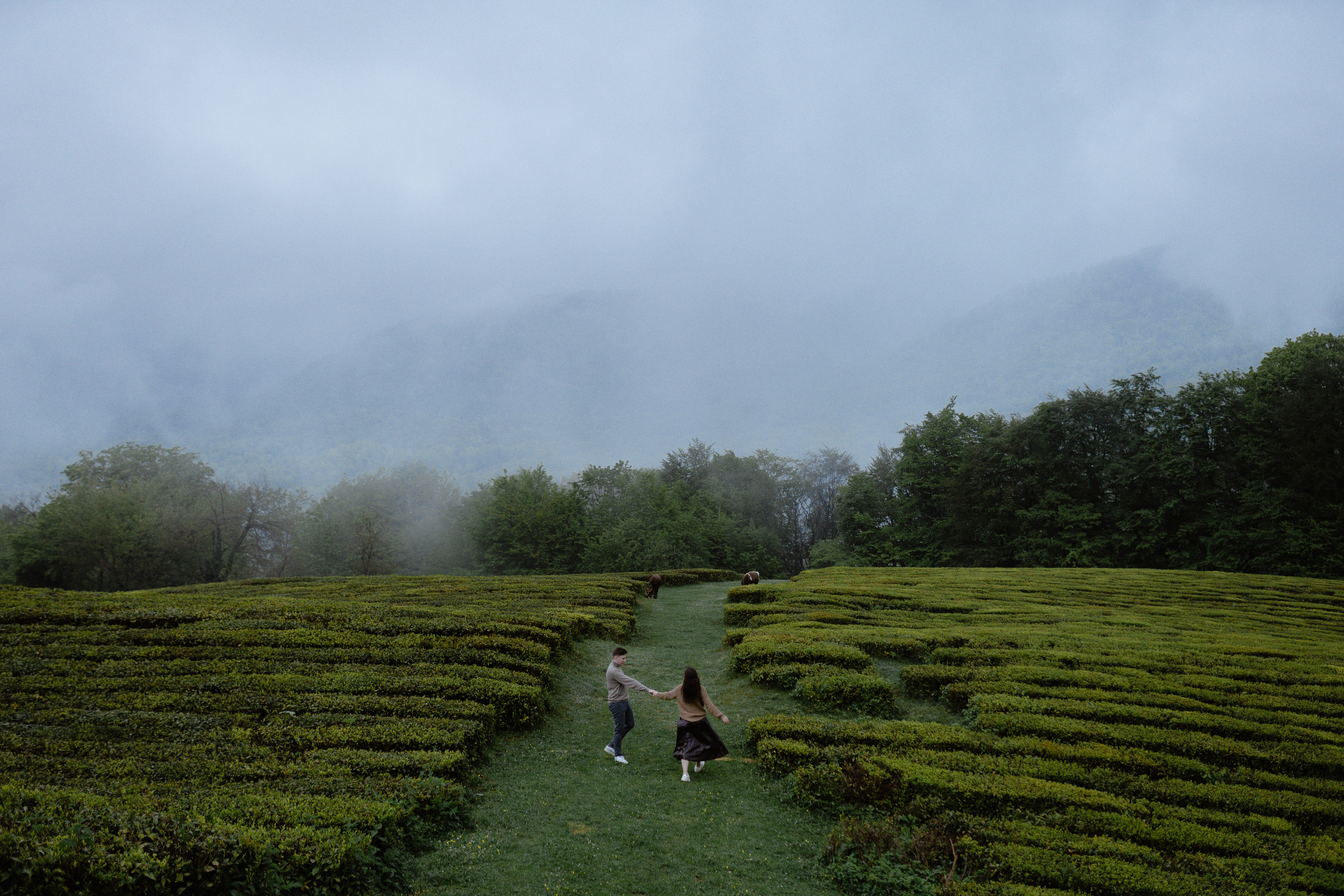 N — D. Elopement Wedding Photographer