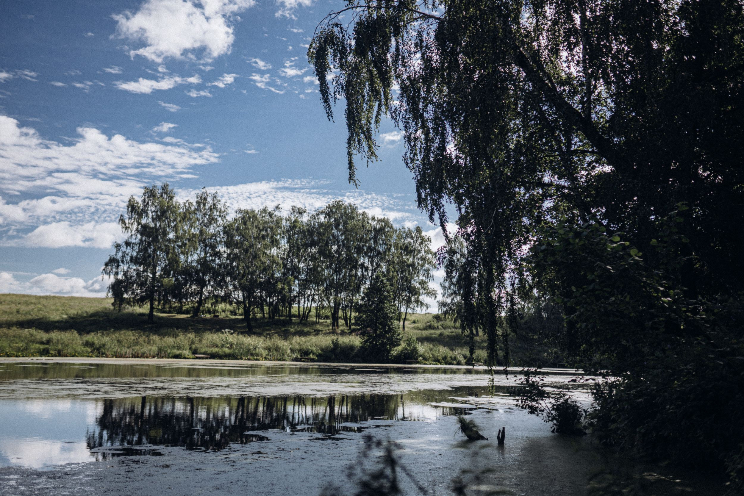 Венера — Стас. Elopement Wedding Photographer