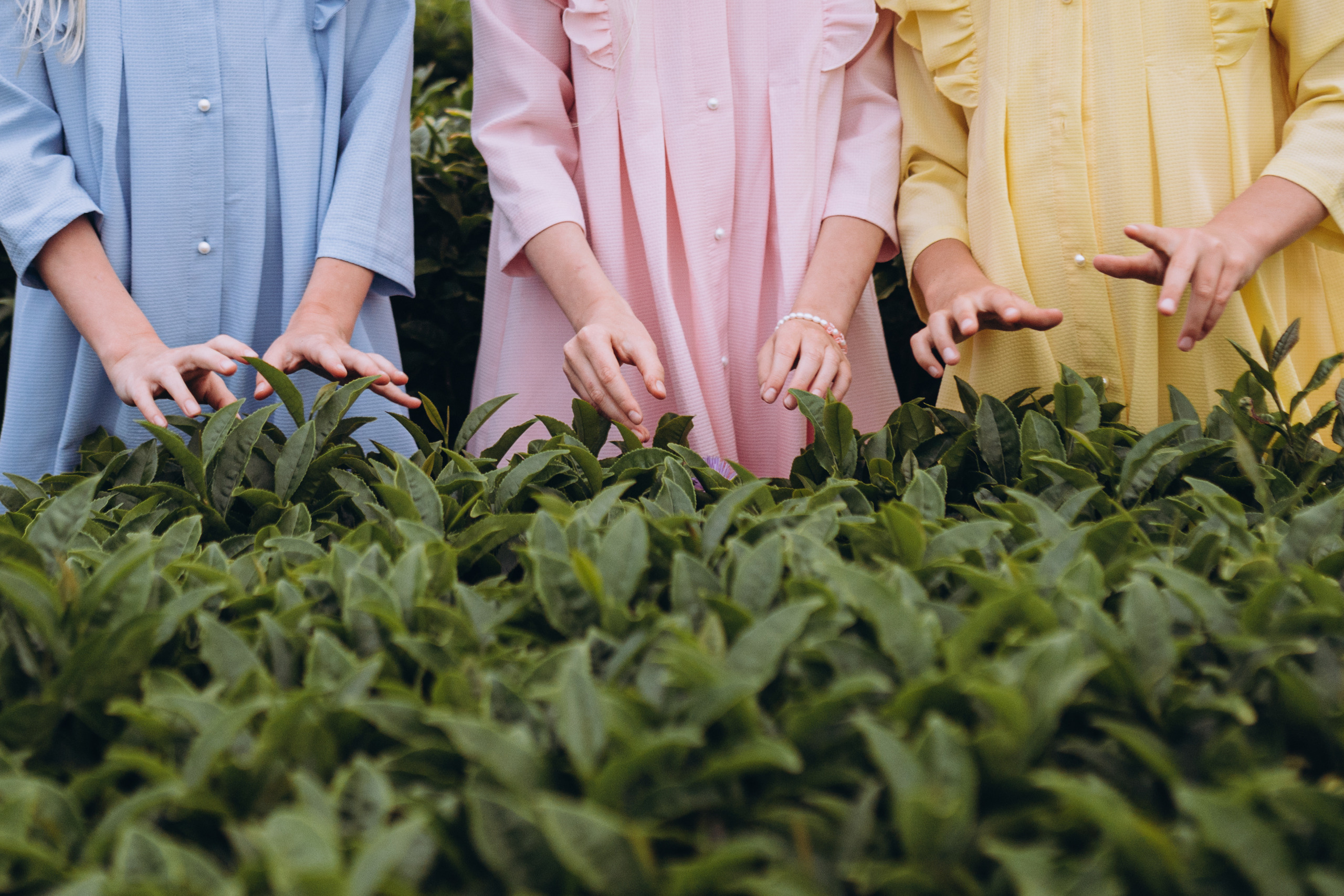 Три слова. Elopement Wedding Photographer