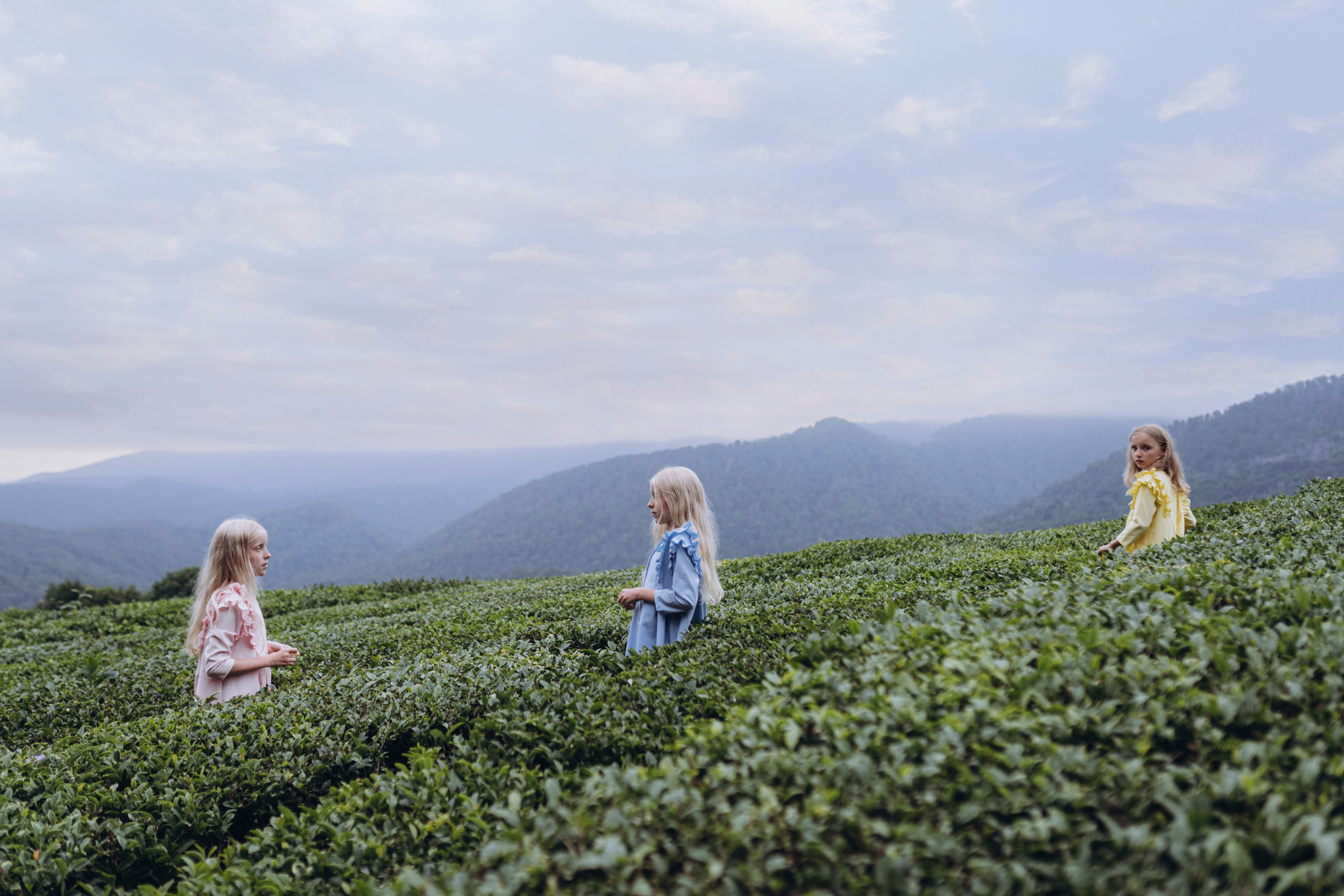 Три слова. Elopement Wedding Photographer