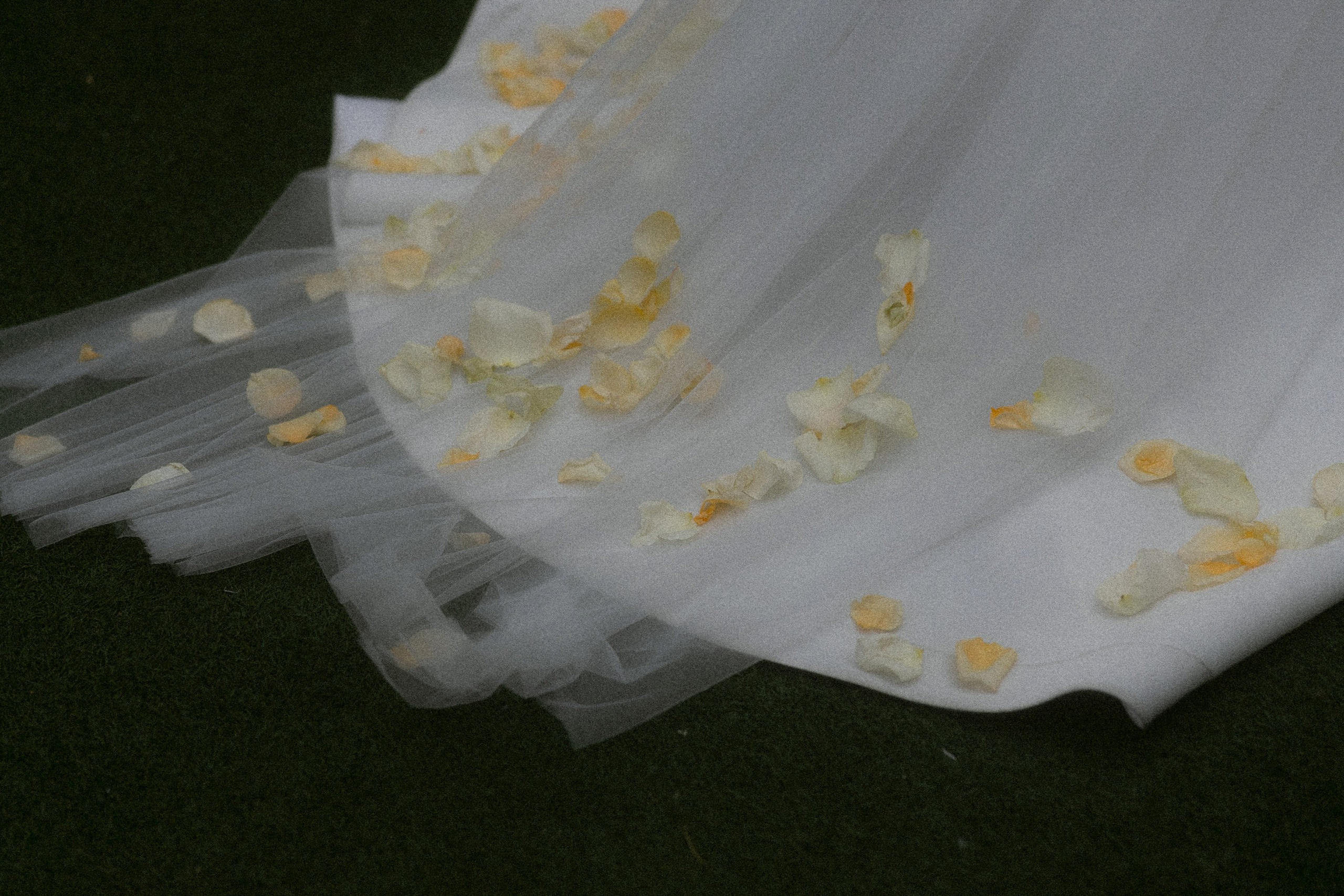 Валерия & Семён. Yura Rush Свадебный фотограф Тюмень