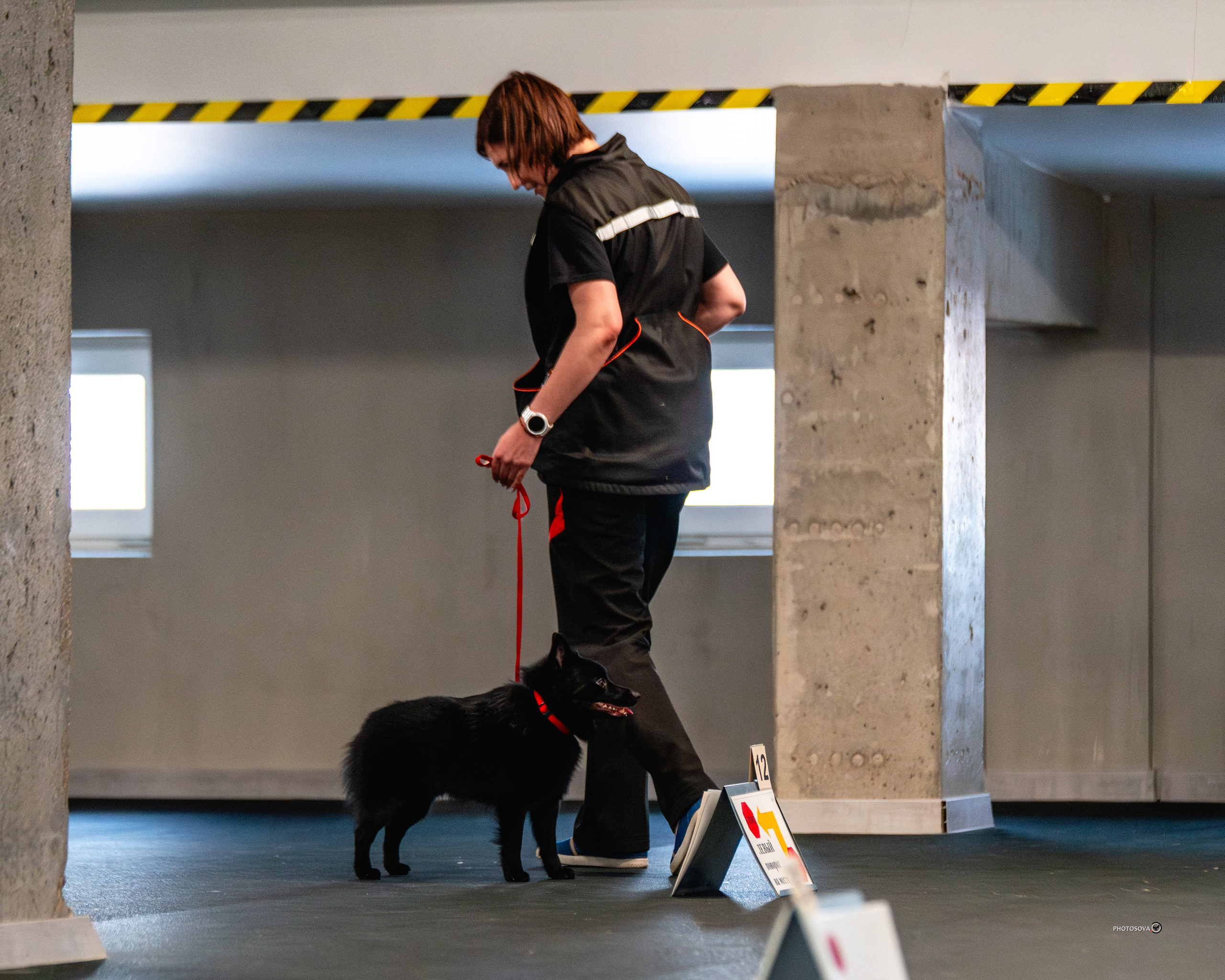 ТЫ И Я (соревнования по ралли-обидиенс). Фотограф-анималист, семейный фотограф в Москве и Подмосковье. Фотосъёмка кинологических дисциплин