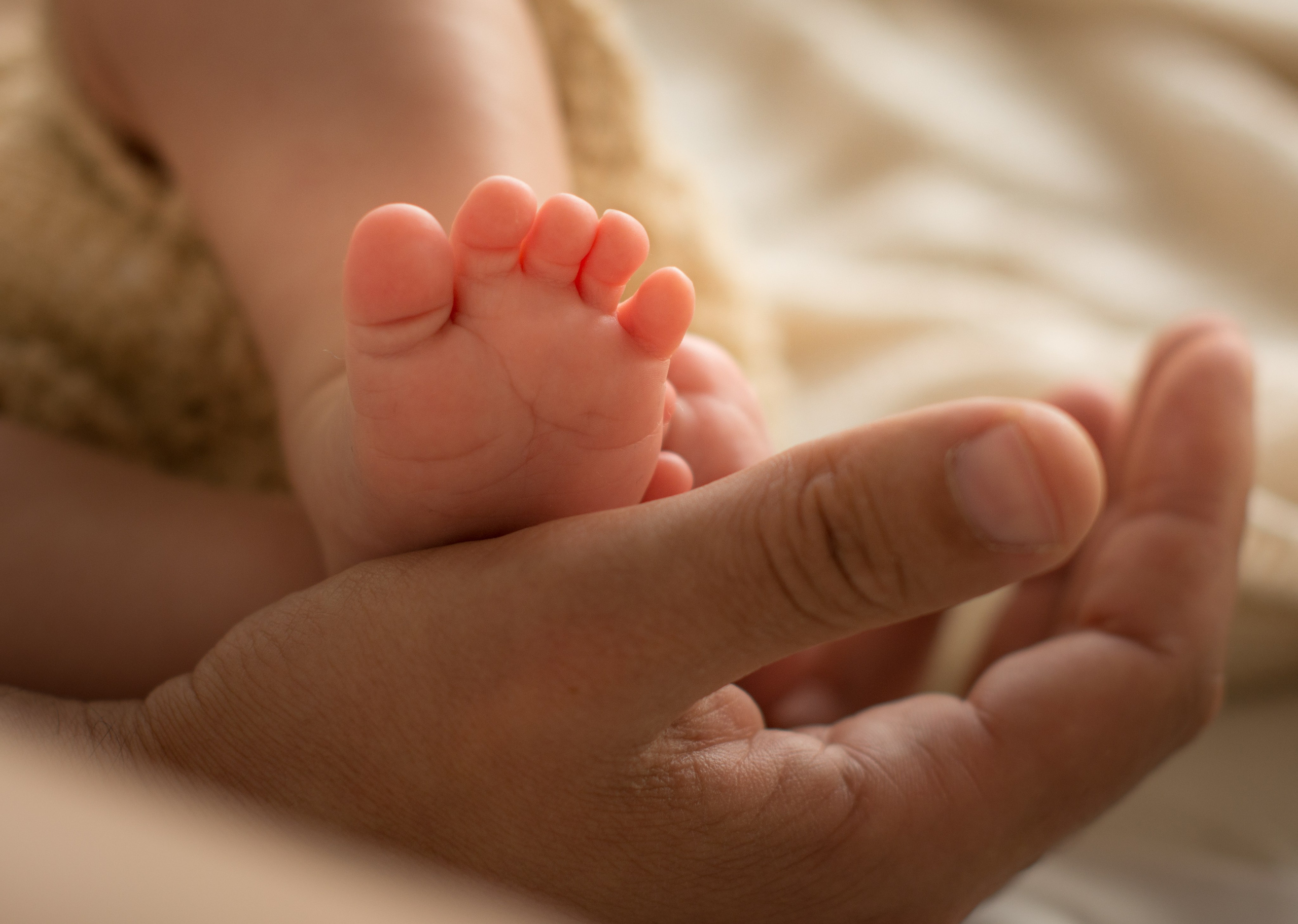 Семейная съемка с новорожденным. Зал Люмен. Фотосессия беременности — Крылова Натали — Москва